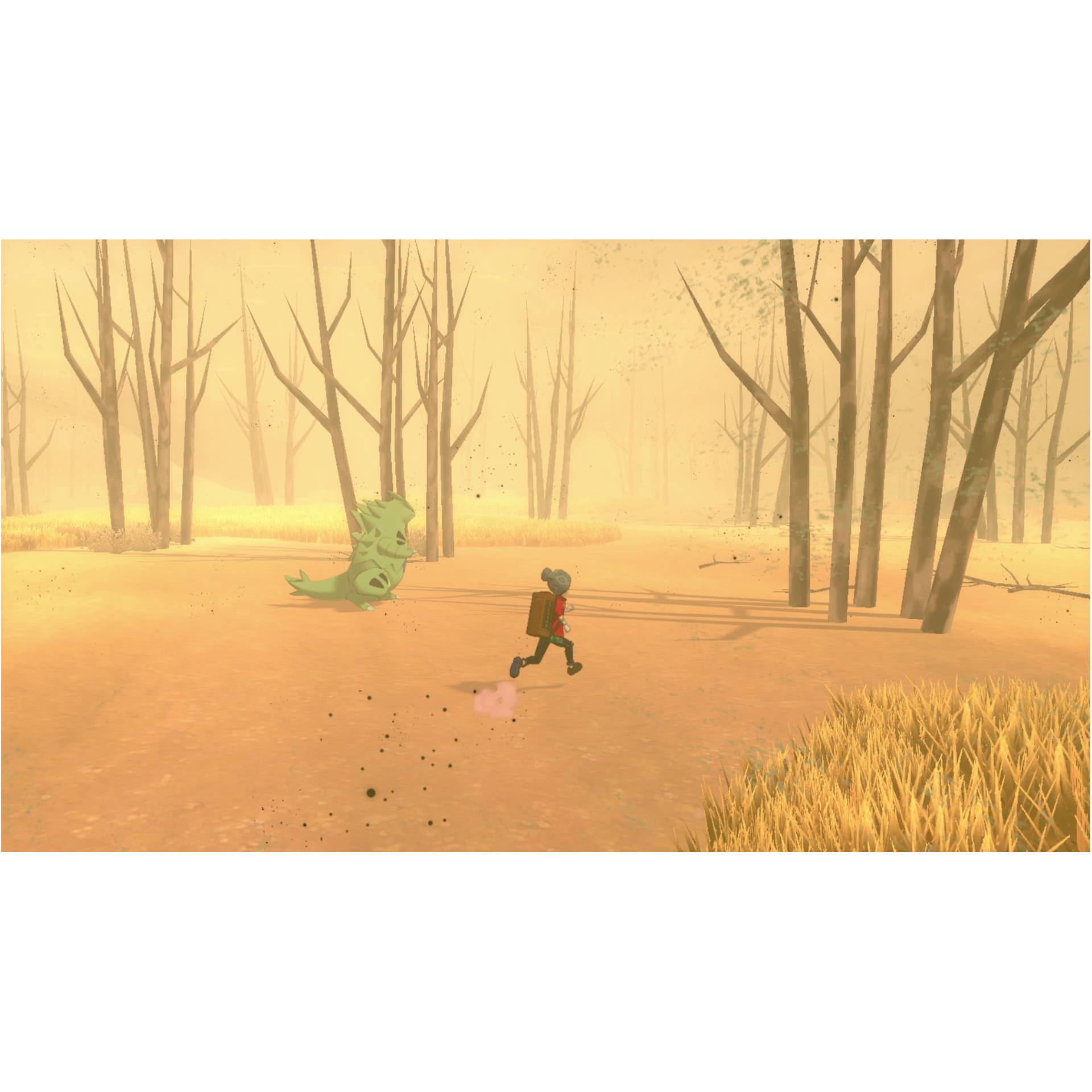 Pflanzenwuchs, Gehen, Baum, Wald, Gras