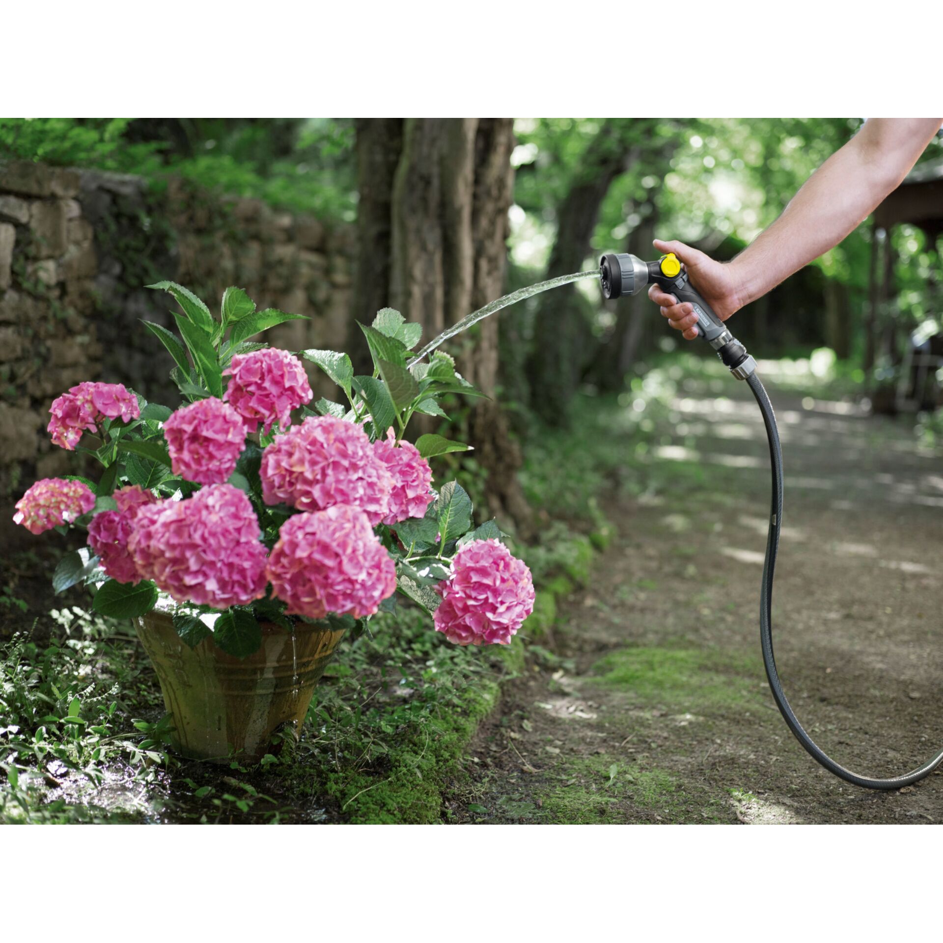 Garten, Innenarchitektur, Blume, Gartenarbeit, Topfpflanze, Garten, Innenarchitektur, Blume, Gartenarbeit, Topfpflanze