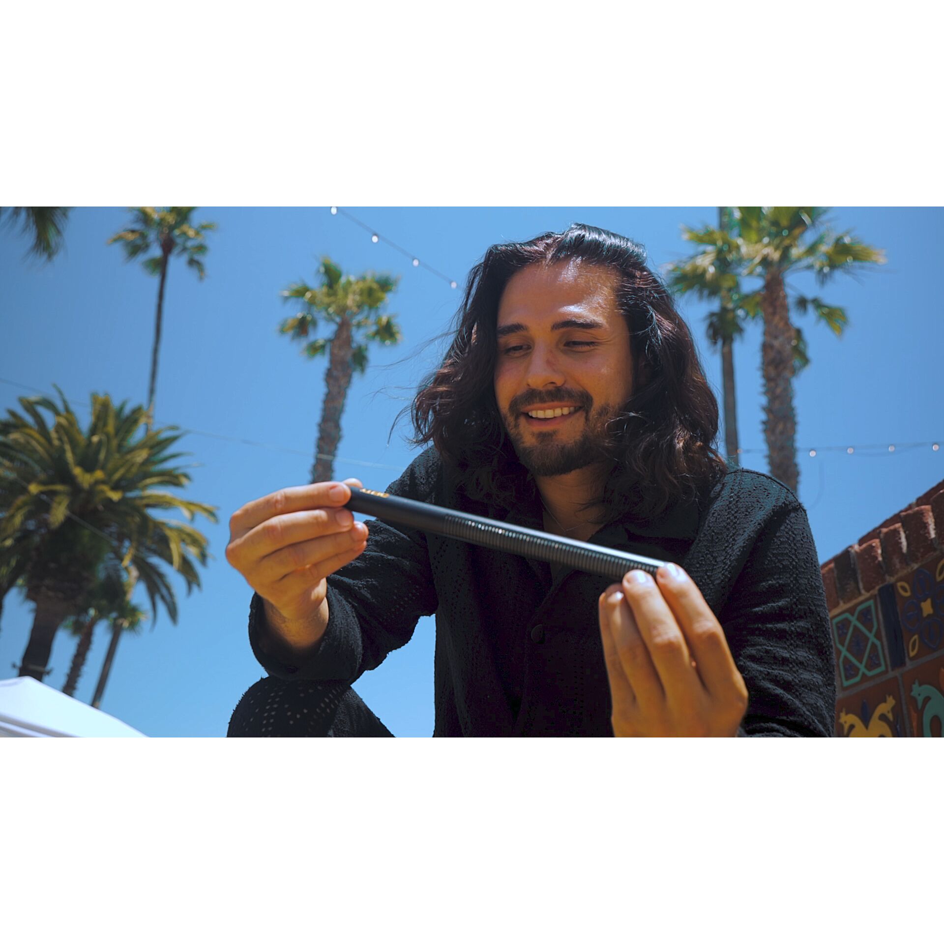 Palme, Baum, Photographie, Portrait, Sommer