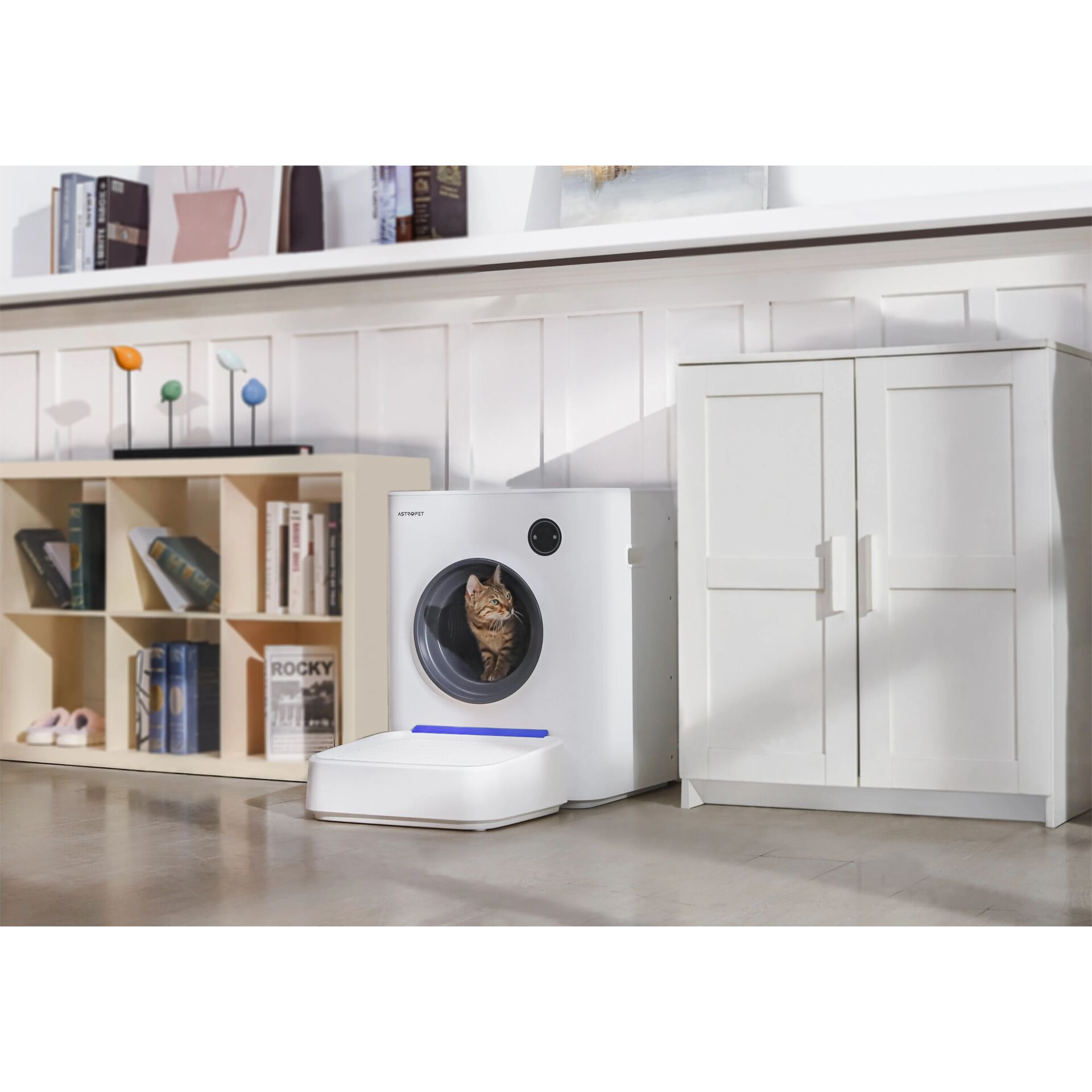 Gerät, Elektrisches Gerät, Waschmaschine, Drinnen, Innenarchitektur