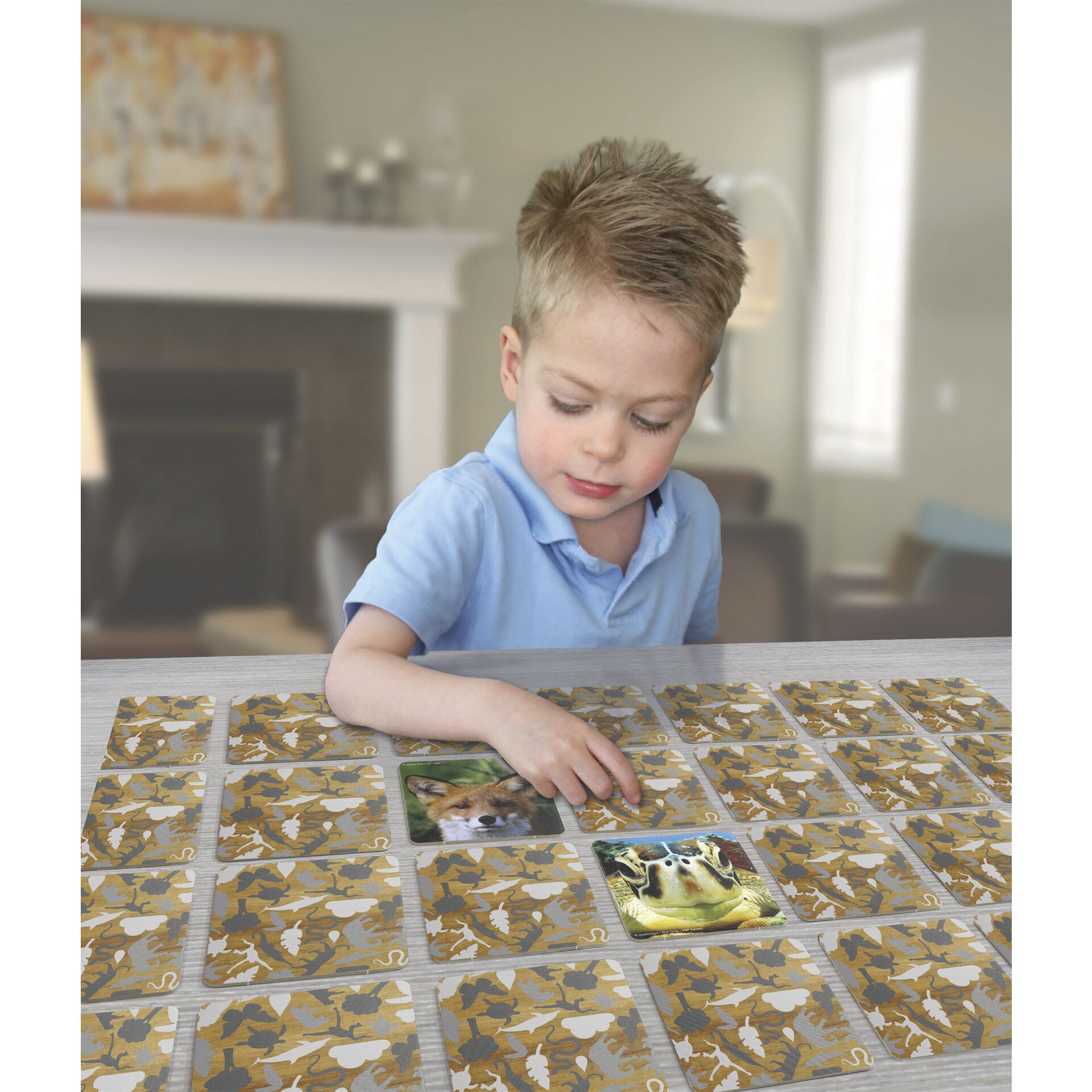 Fußboden, Innenarchitektur, Person, Portrait, Tabelle