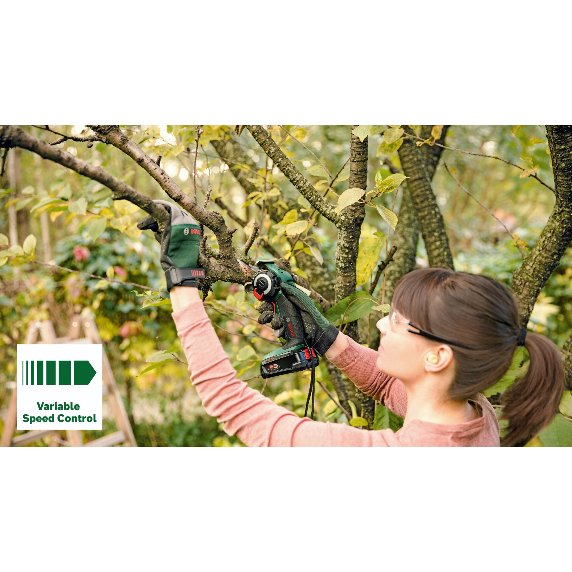 Photographie, Handschuh, Bewuchs, Draußen, Natur