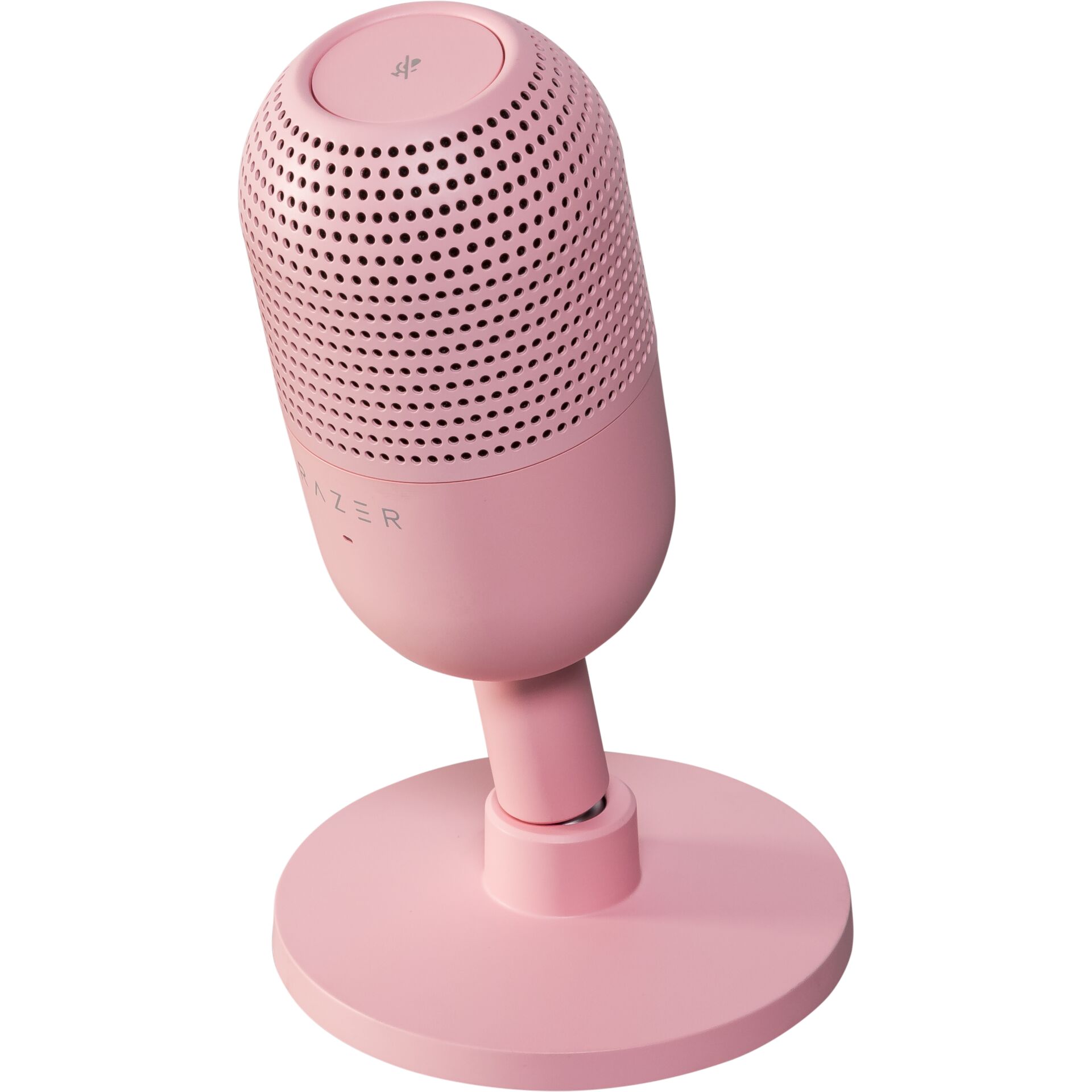 Elektrisches Gerät, Mikrophon