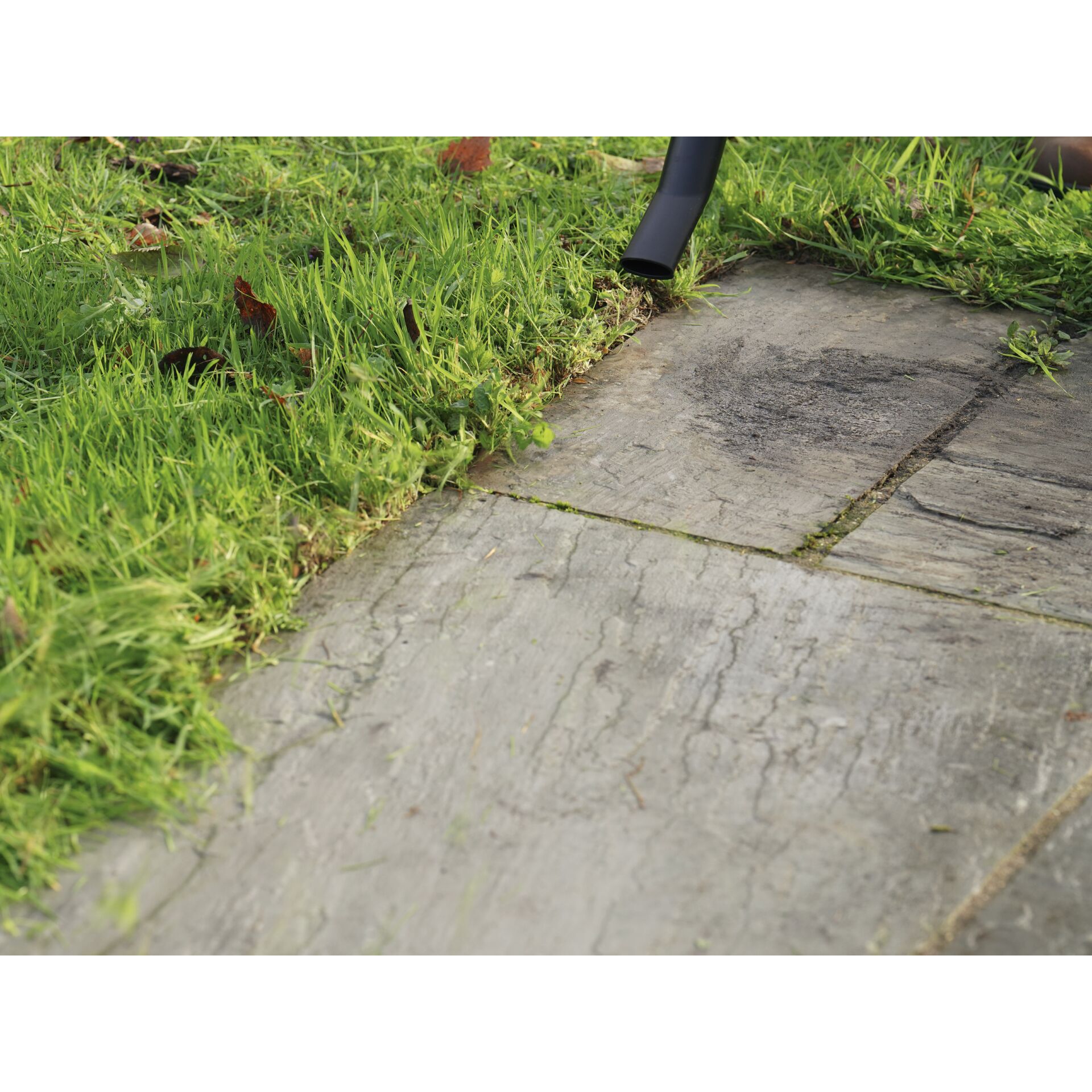 Pfad, Bürgersteig, Gras, Rasen, Innenarchitektur
