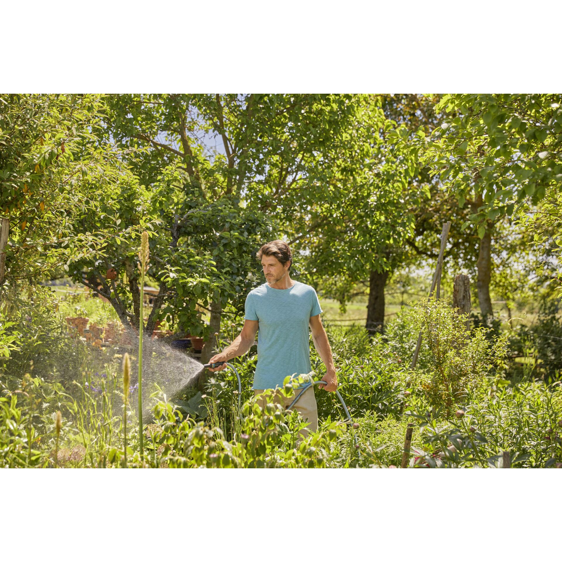 Garten, Natur, Gartenarbeit, Vegetation, Person