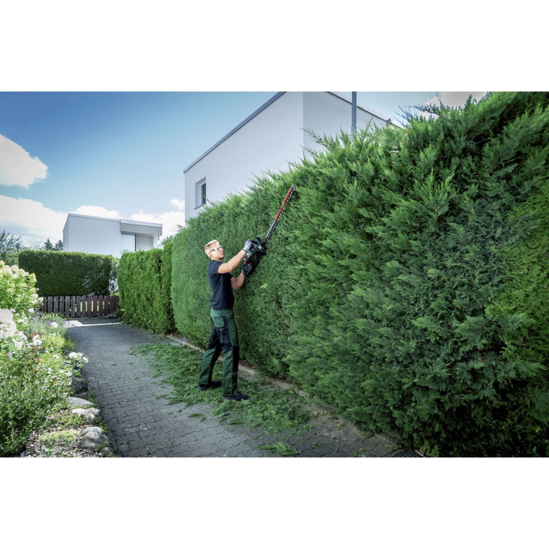 Zaun, Hecke, Garten, Bewuchs, Person