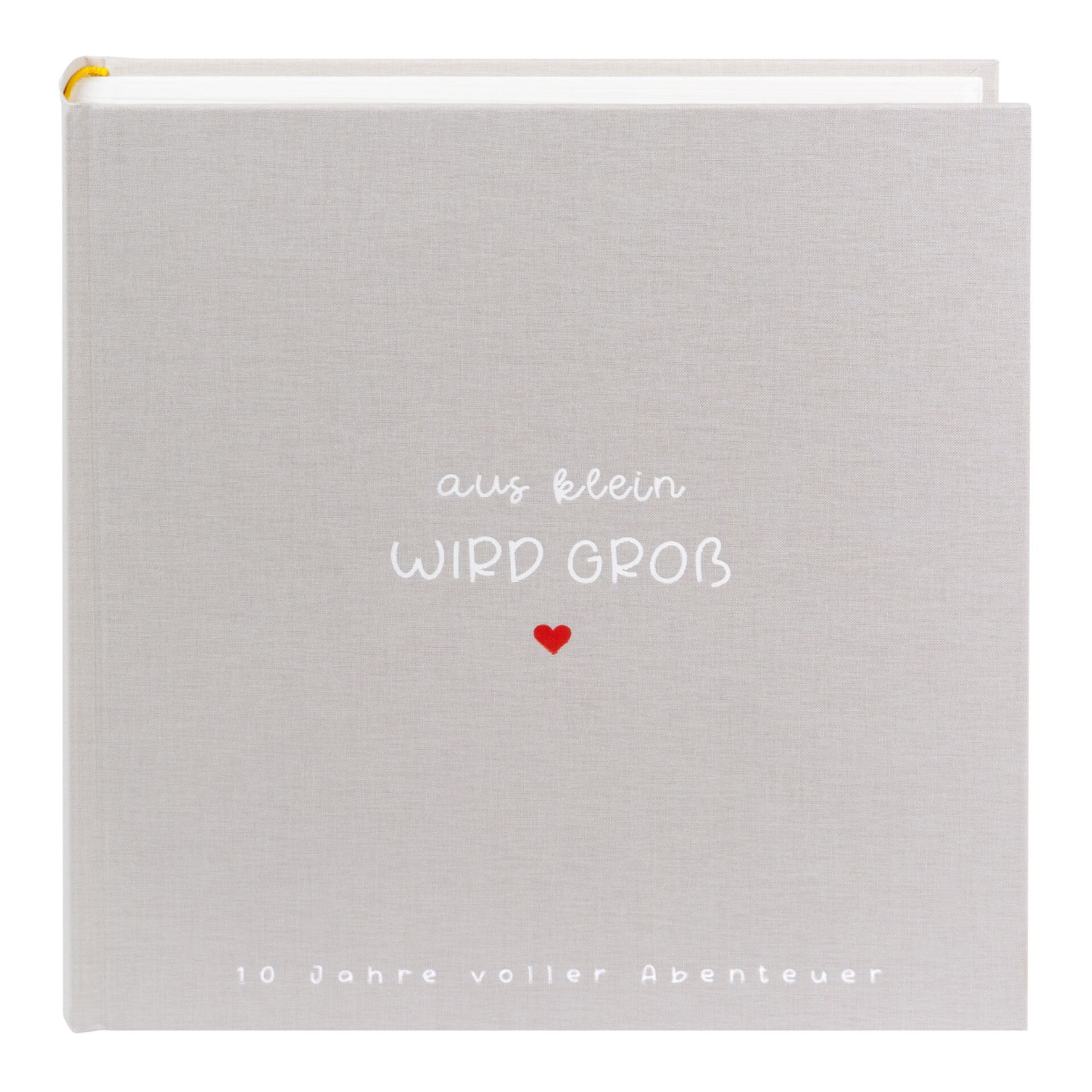 Buch, Veröffentlichung