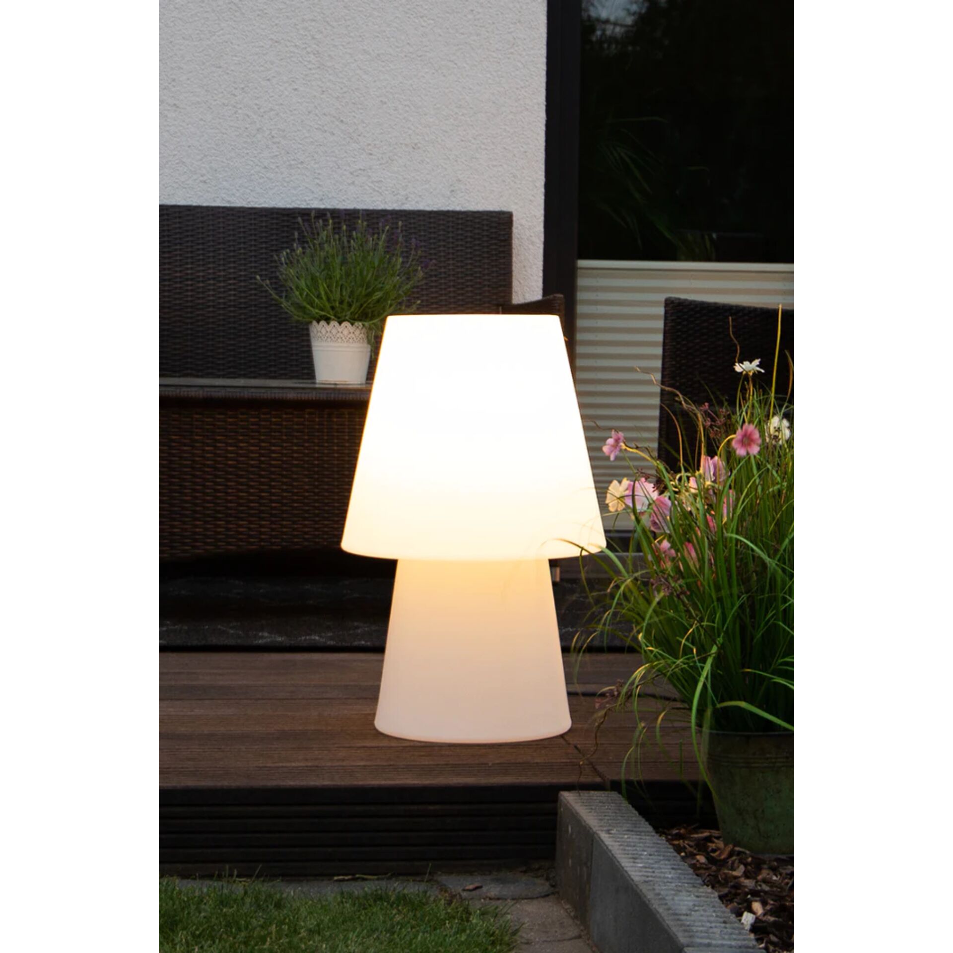 Lampe, Lampenschirm, Pflanze, Pflanze im Topf