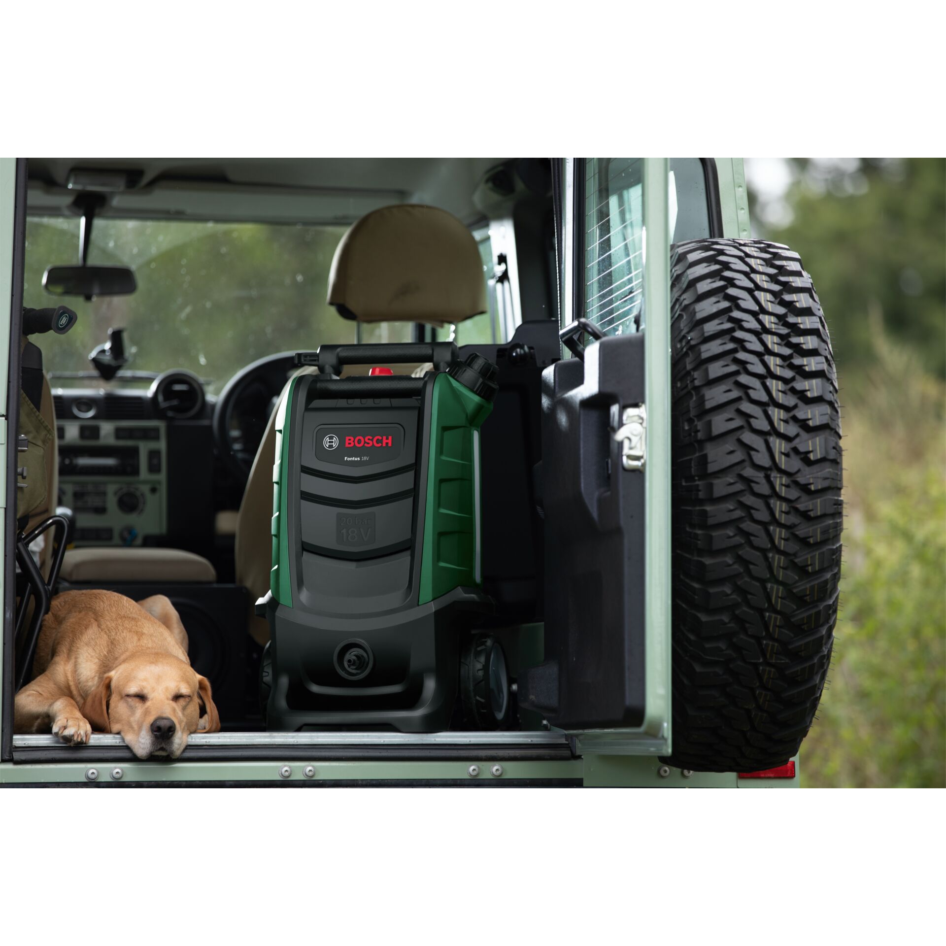 Hund, Haustier, Rad, Kissen, Auto