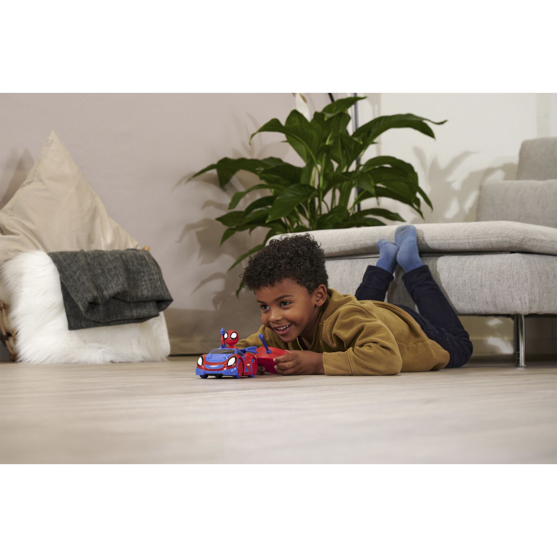 Couch, Topfpflanze, Junge, Kind, Person