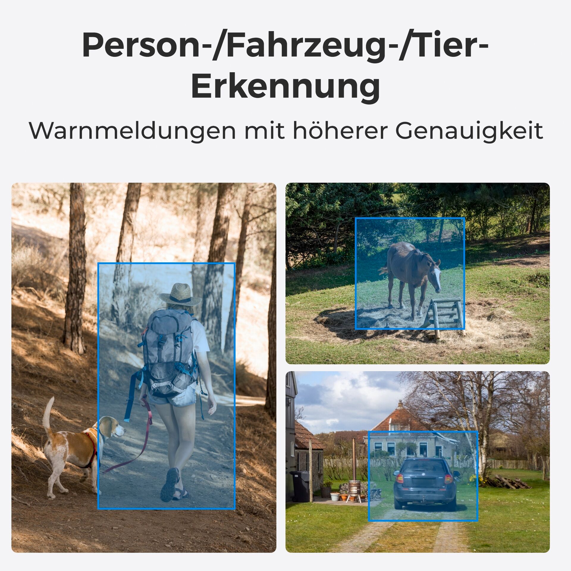Person, Gehen, Hund, Auto, Tasche
