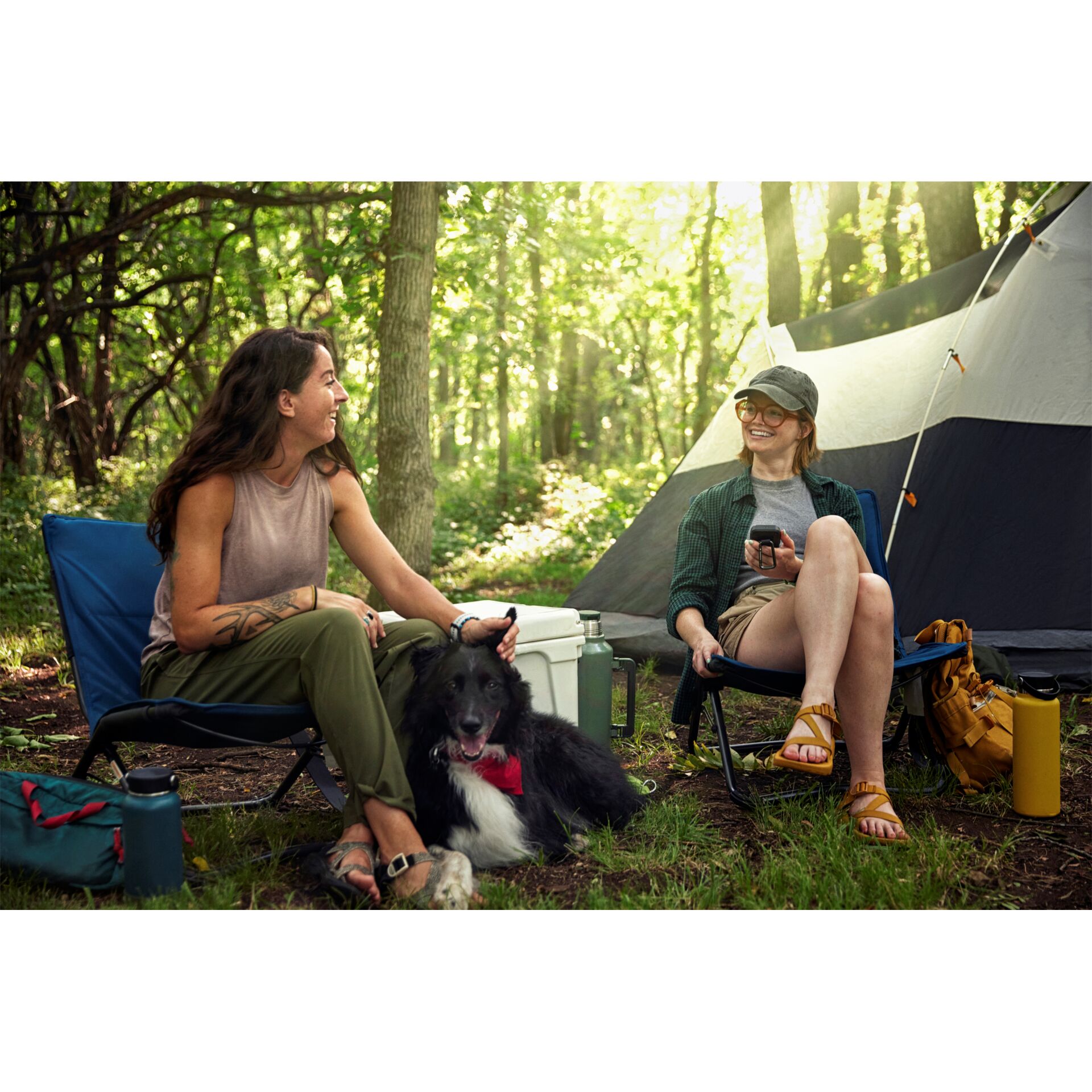 Draußen, Unterschlupf, Gras, Bewuchs, Zelt