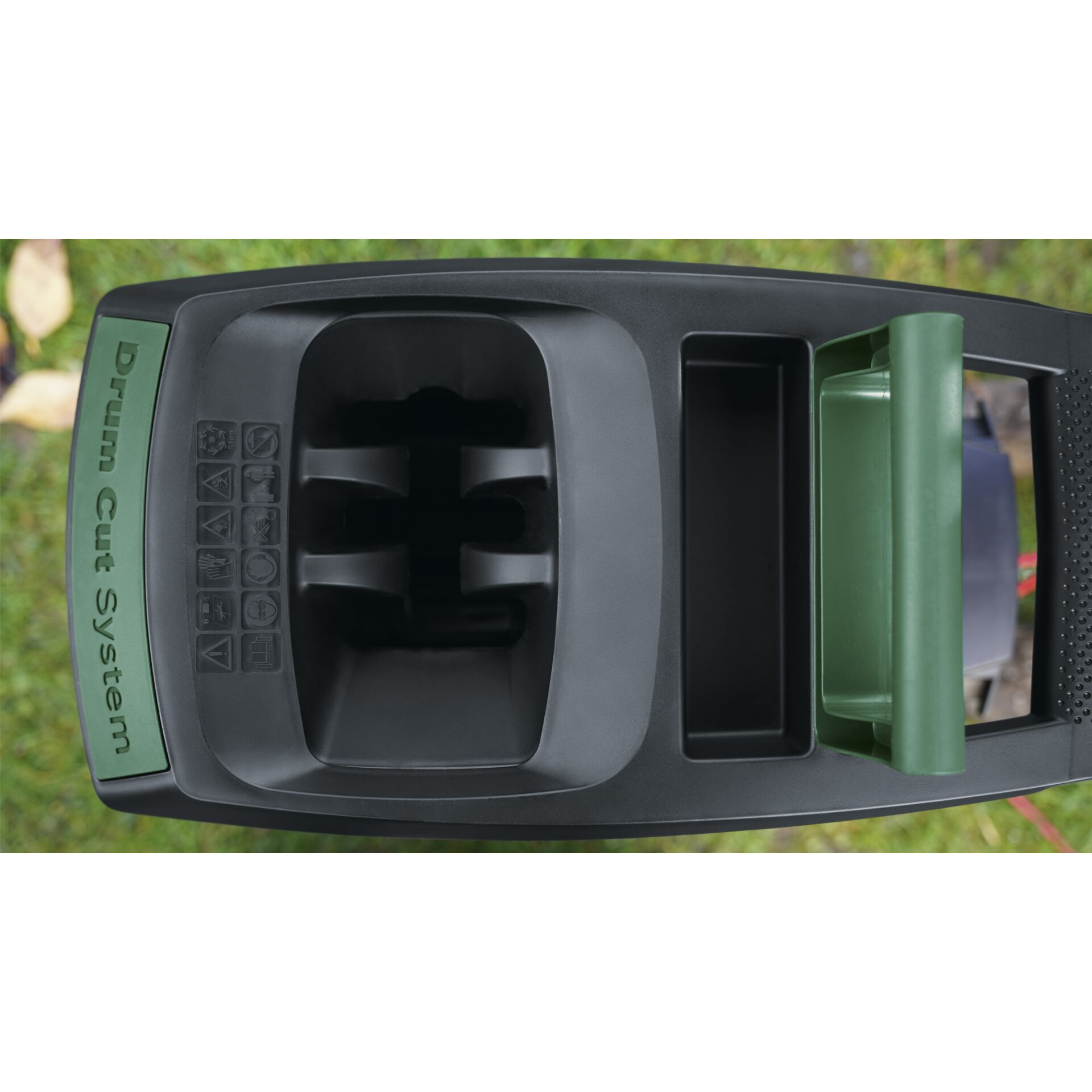 Gras, Pflanze, Rasen