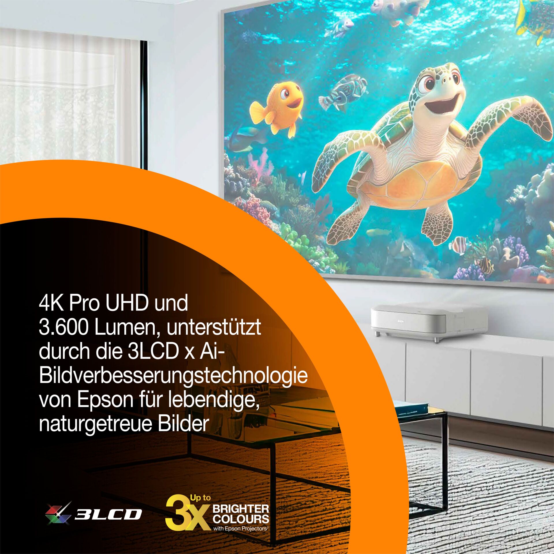 Schildkröte, Werbung, Aquarium, Fische, Meeresschildkröte
