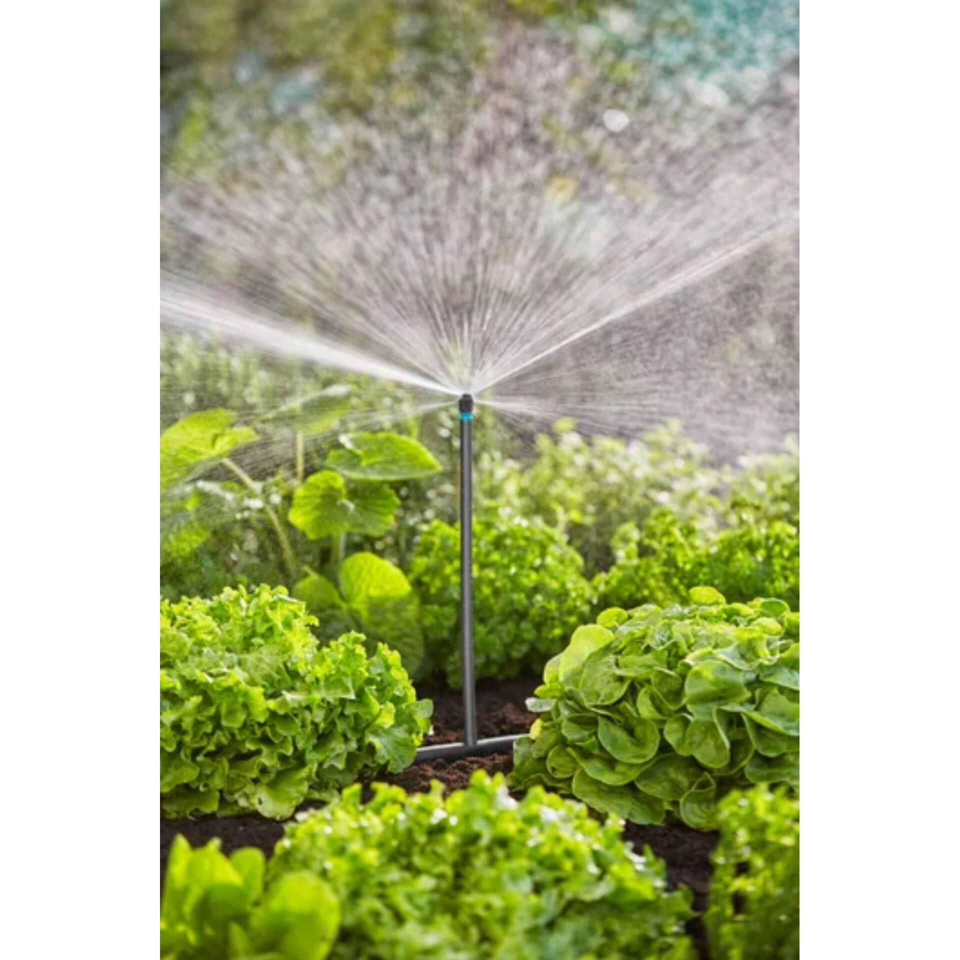 Sprinkler, Gartenbewässerung, Rasenbewässerung, Wasserstrahl, Bewässerungssystem