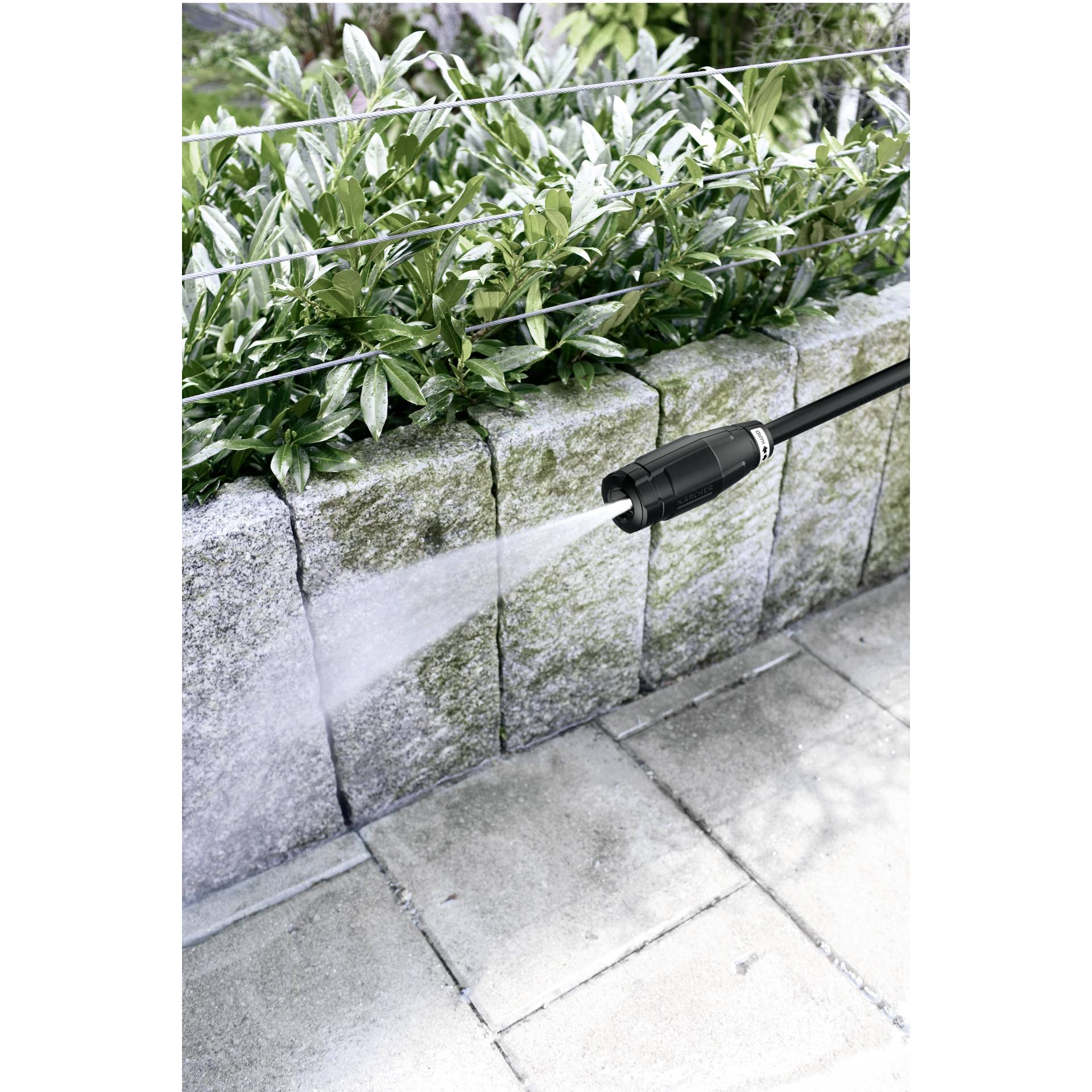 Topfpflanze, Krug, Pflanzgefäß, Innenarchitektur, Kräuterisch