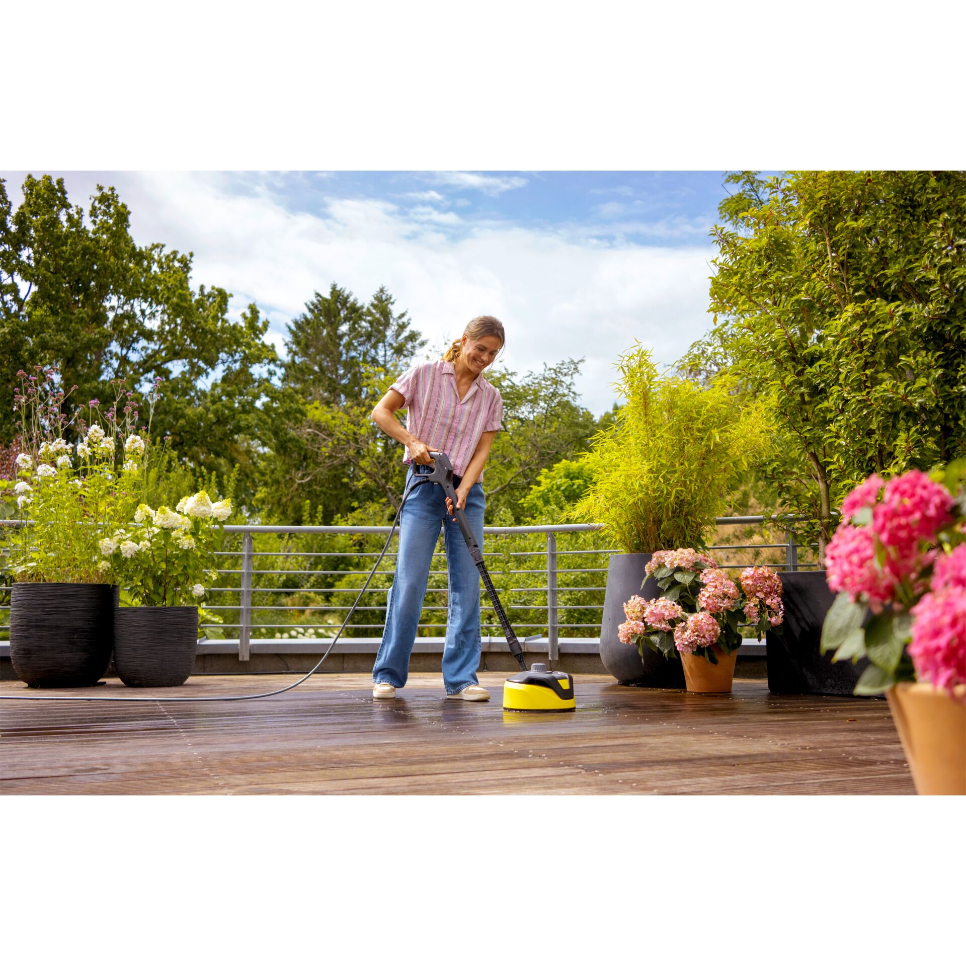 Drinnen, Innenarchitektur, Gras, Pflanze