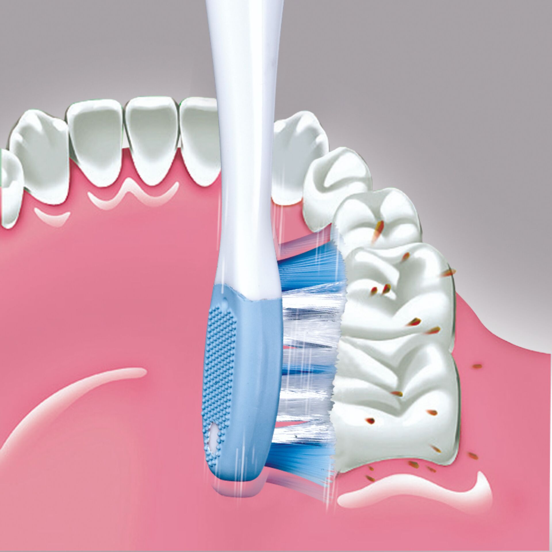 Pinsel, Gerät, Werkzeug, Zahnbürste