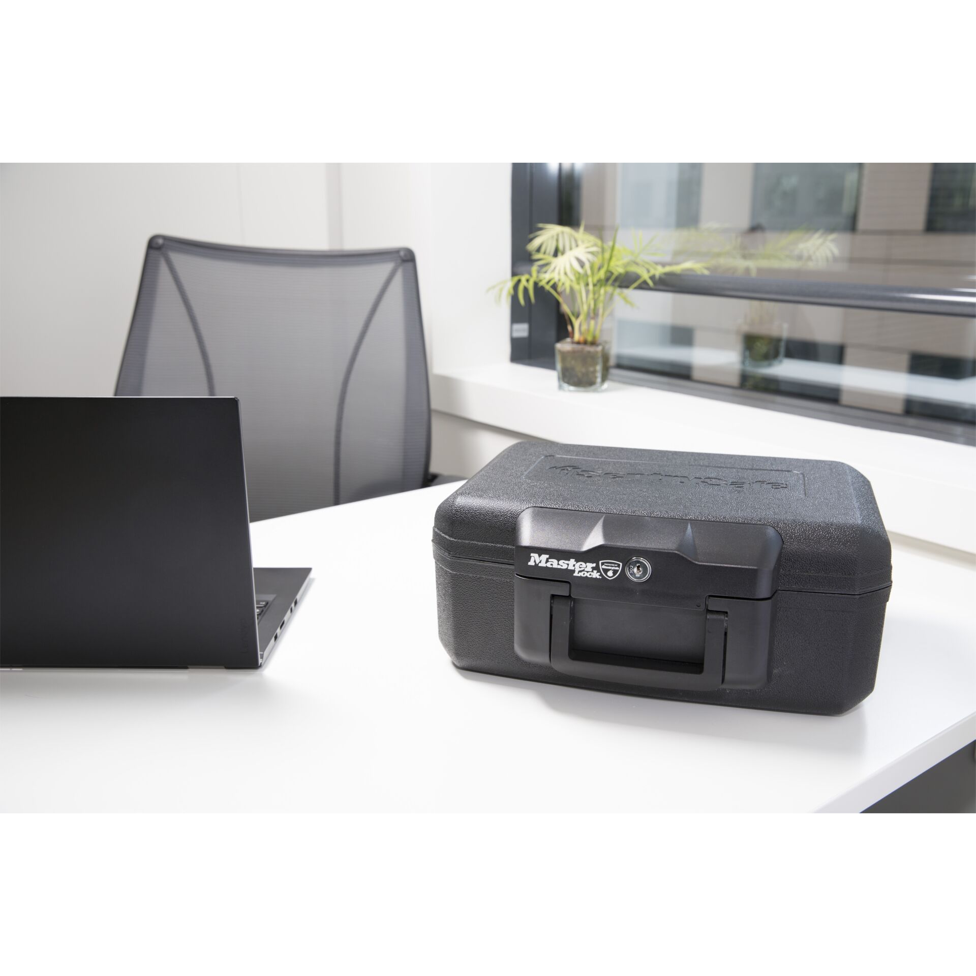 Tasche, Elektronik, Laptop, PC, Pflanze