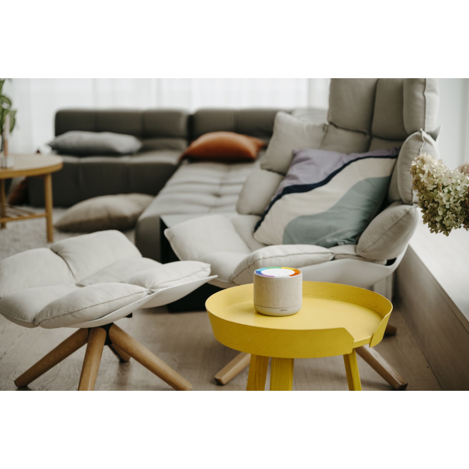 Kaffeetisch, Mobiliar, Tabelle, Wohnzimmer, Couch, Kaffeetisch, Mobiliar, Tabelle, Wohnzimmer, Couch