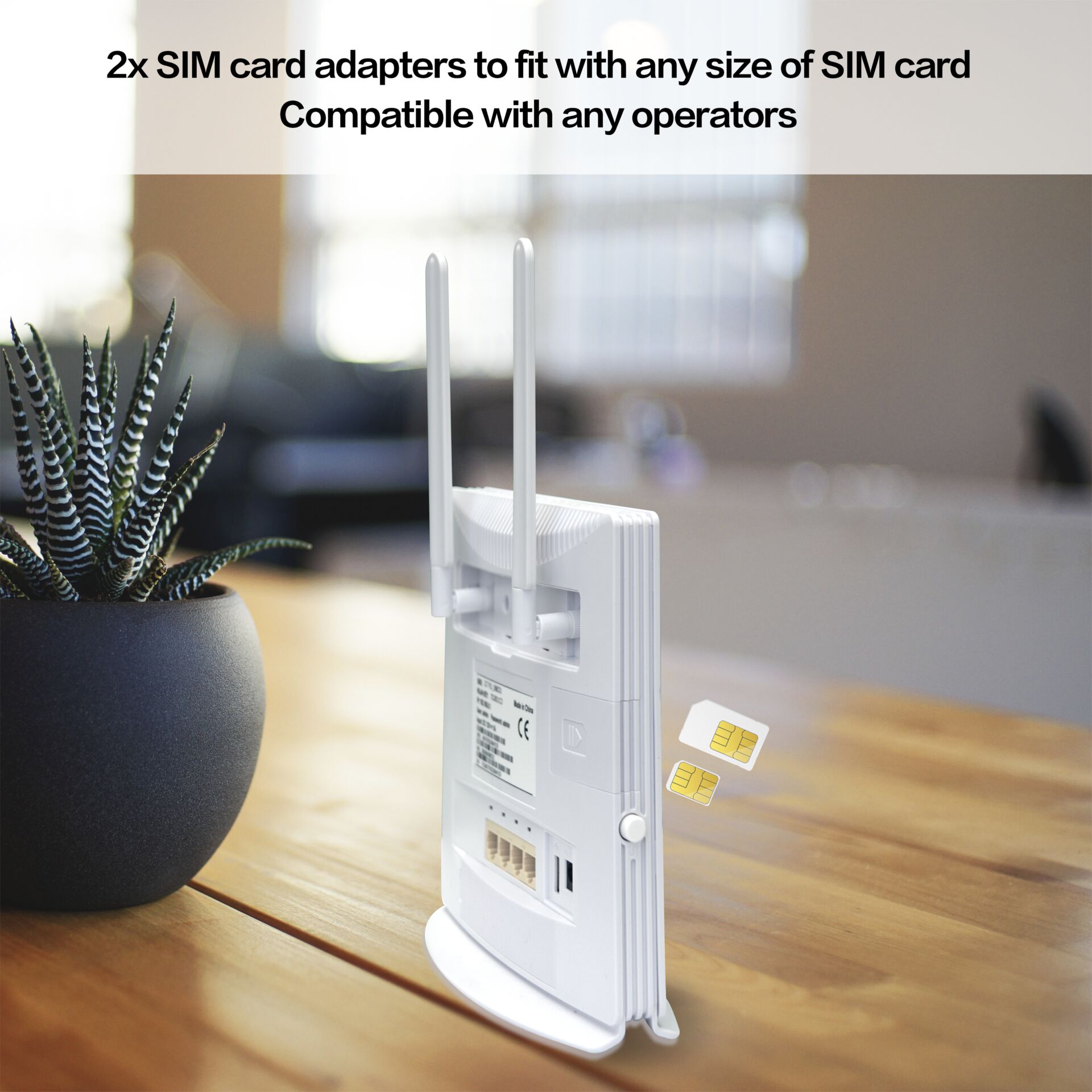 Elektronik, Hardware, Router, Pflanze, Modem