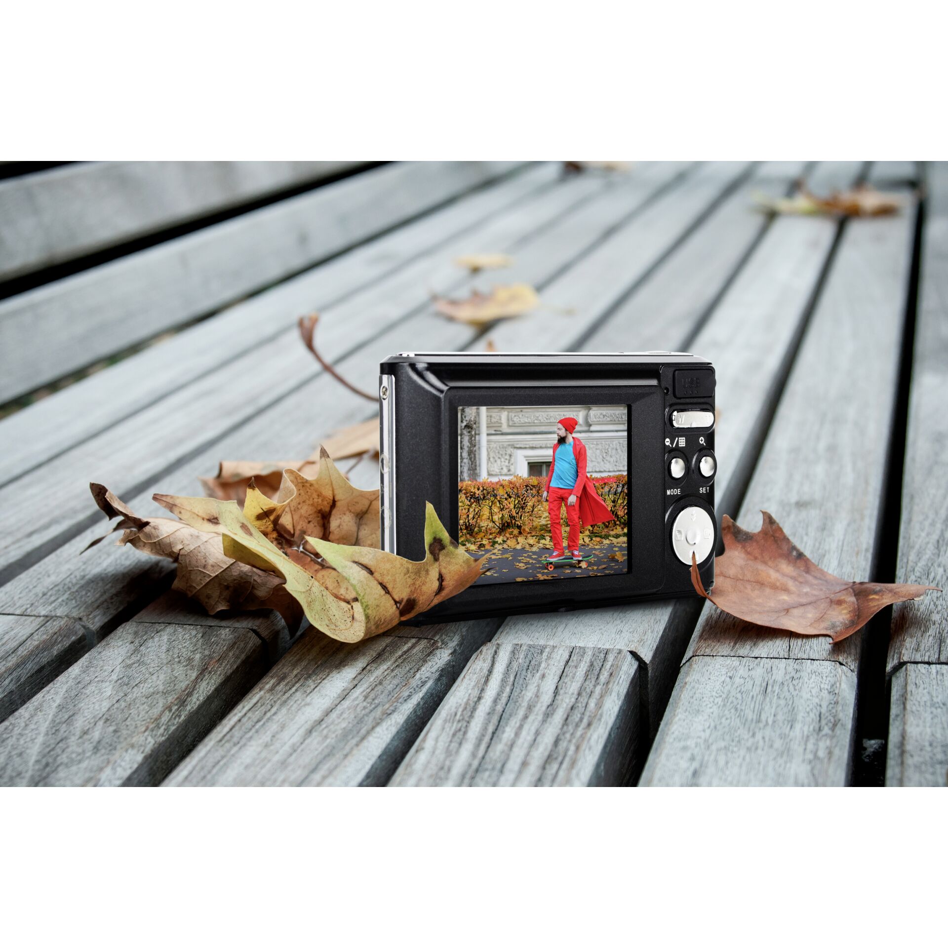 Photographie, Blatt, Pflanze, Person