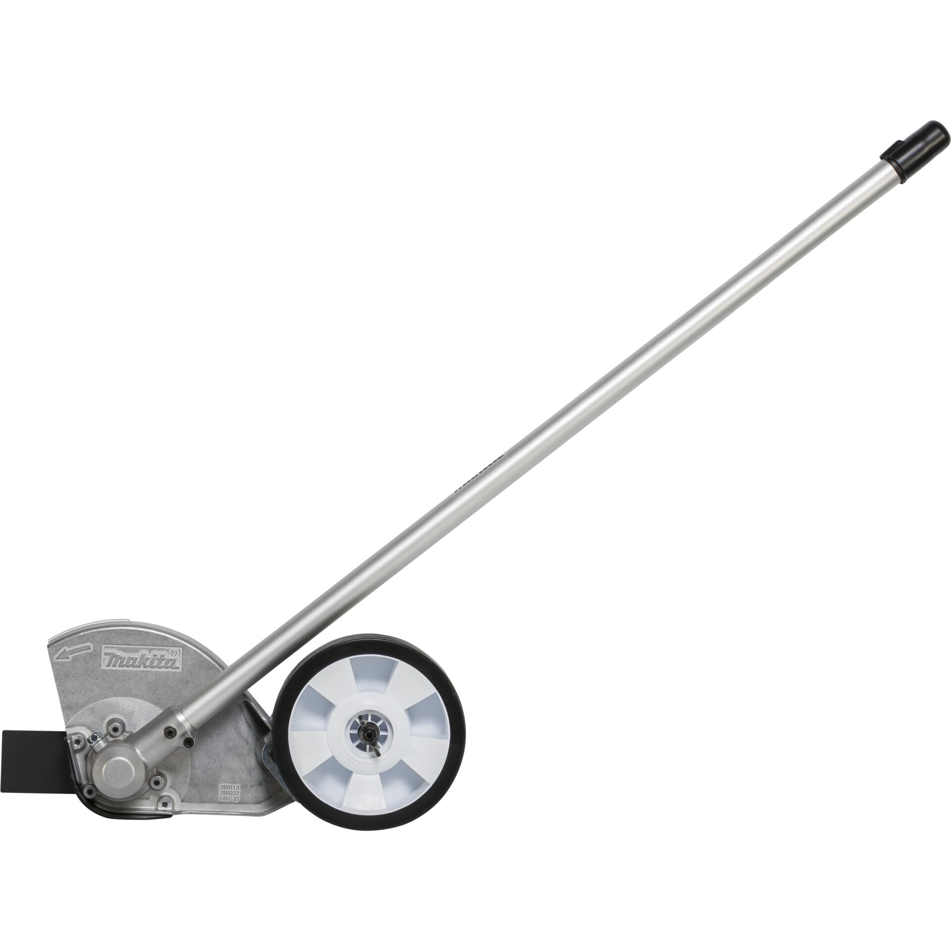 Gras, Pflanze, Rasen