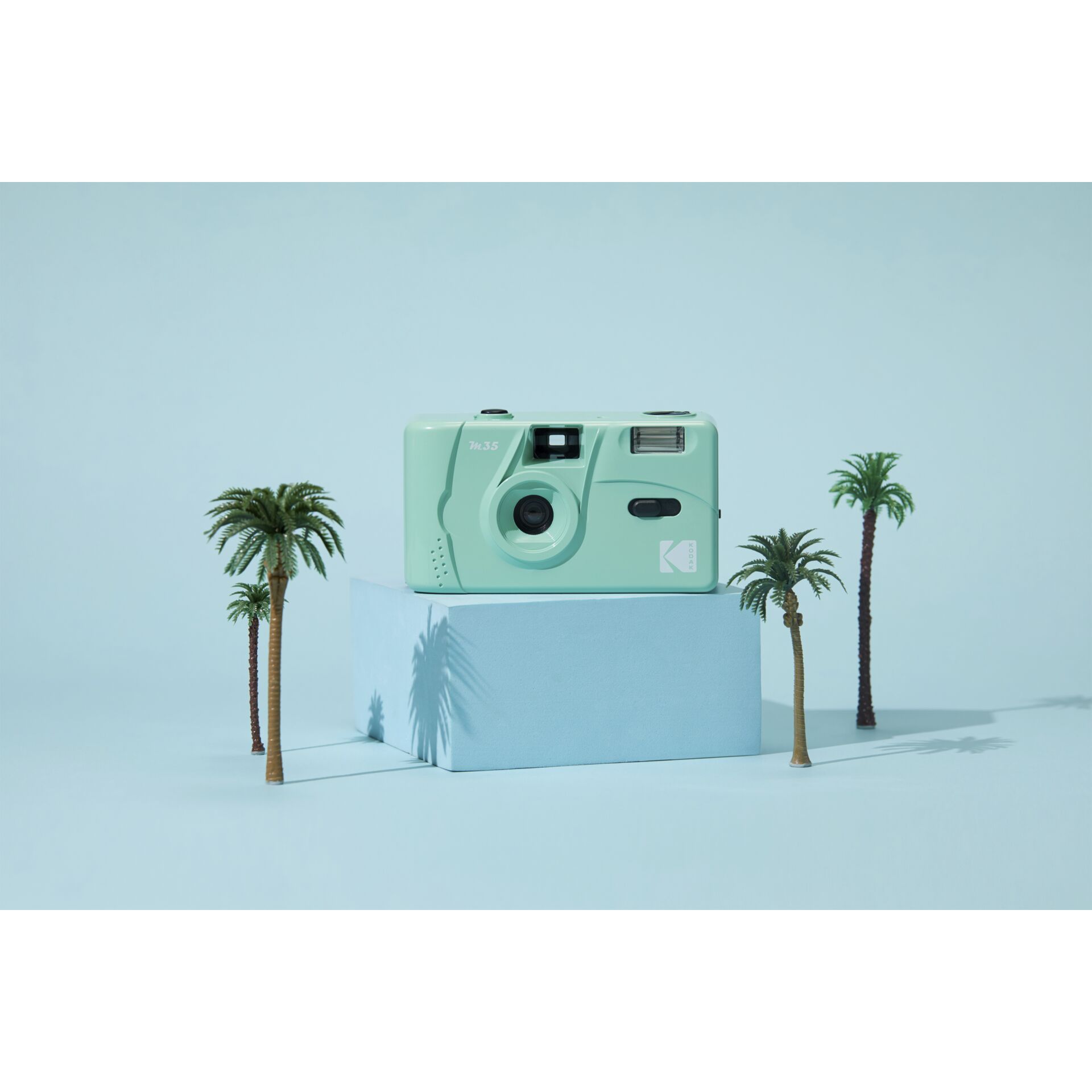 Pflanze, Baum, Elektronik, Digitale Kamera, Palme