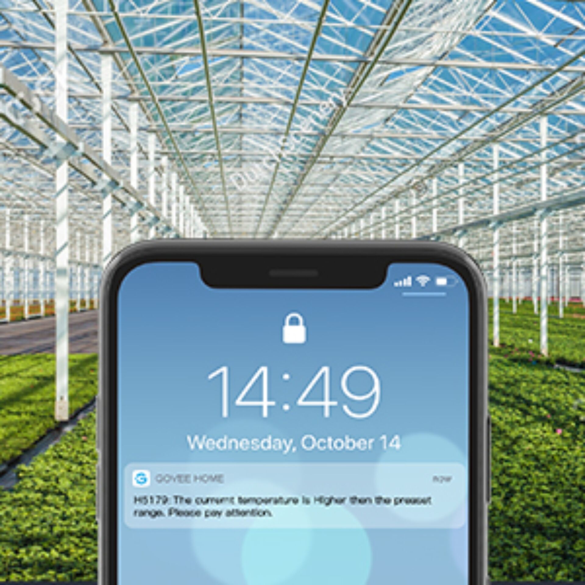 Elektronik, Telefon, Handy, Garten, Gartenarbeit