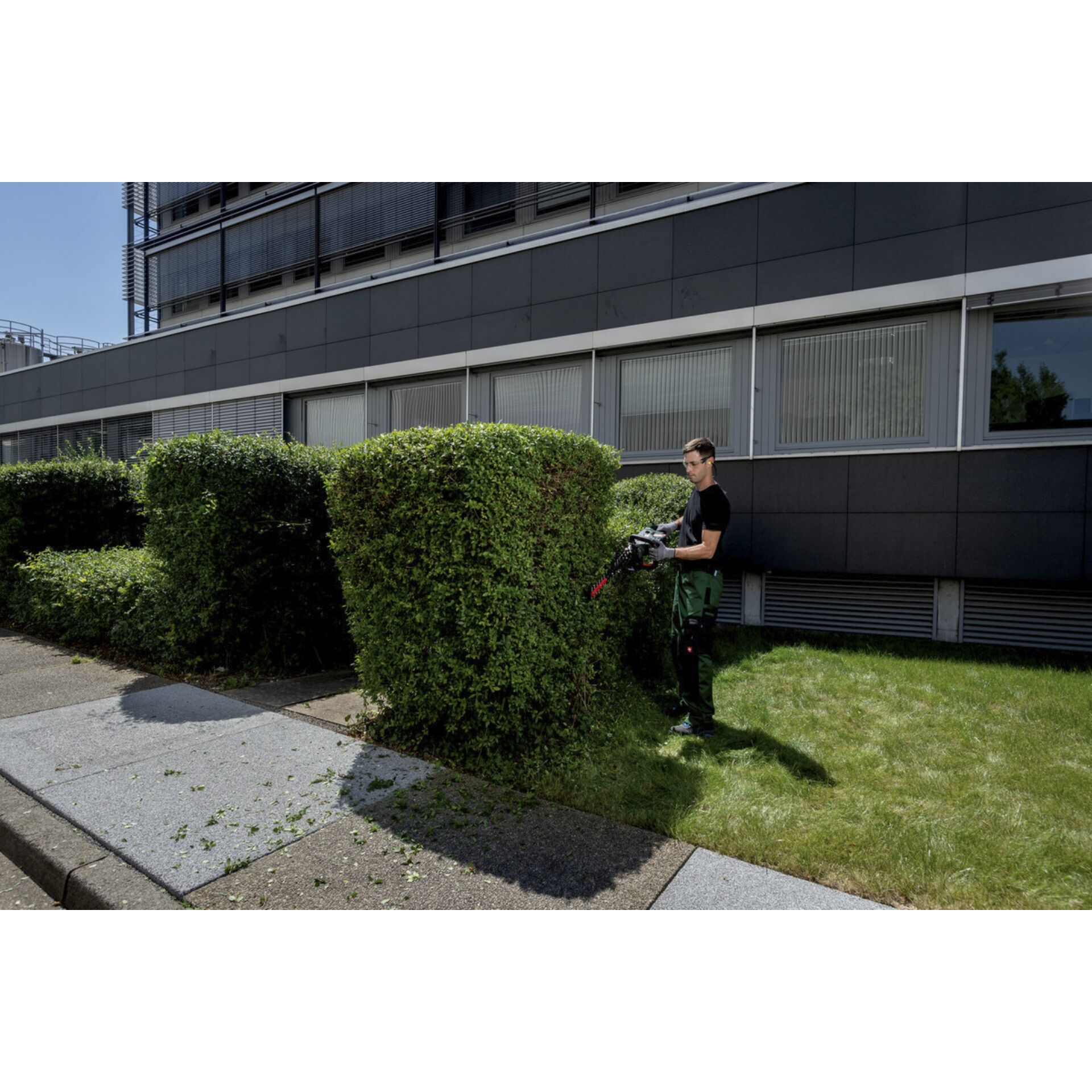 Gras, Zaun, Hecke, Rasen, Person