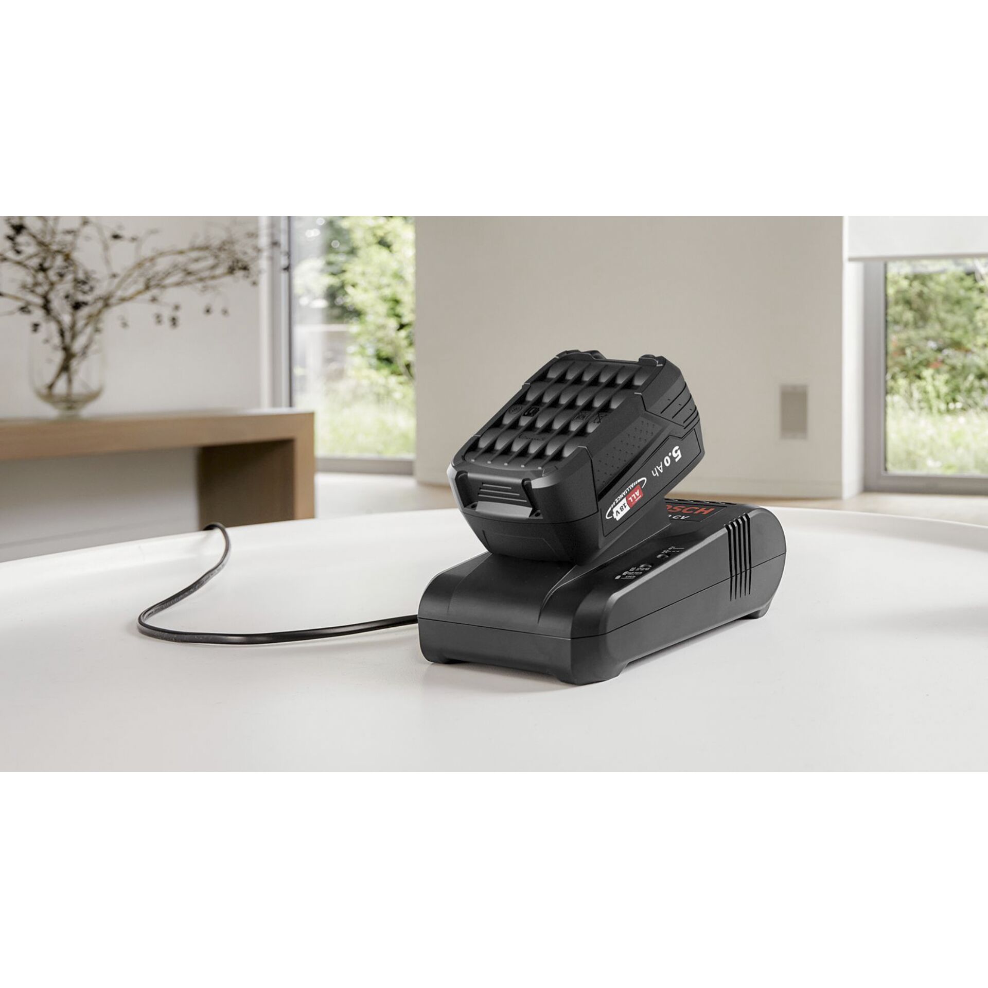 Elektrisches Gerät, Mikrophon