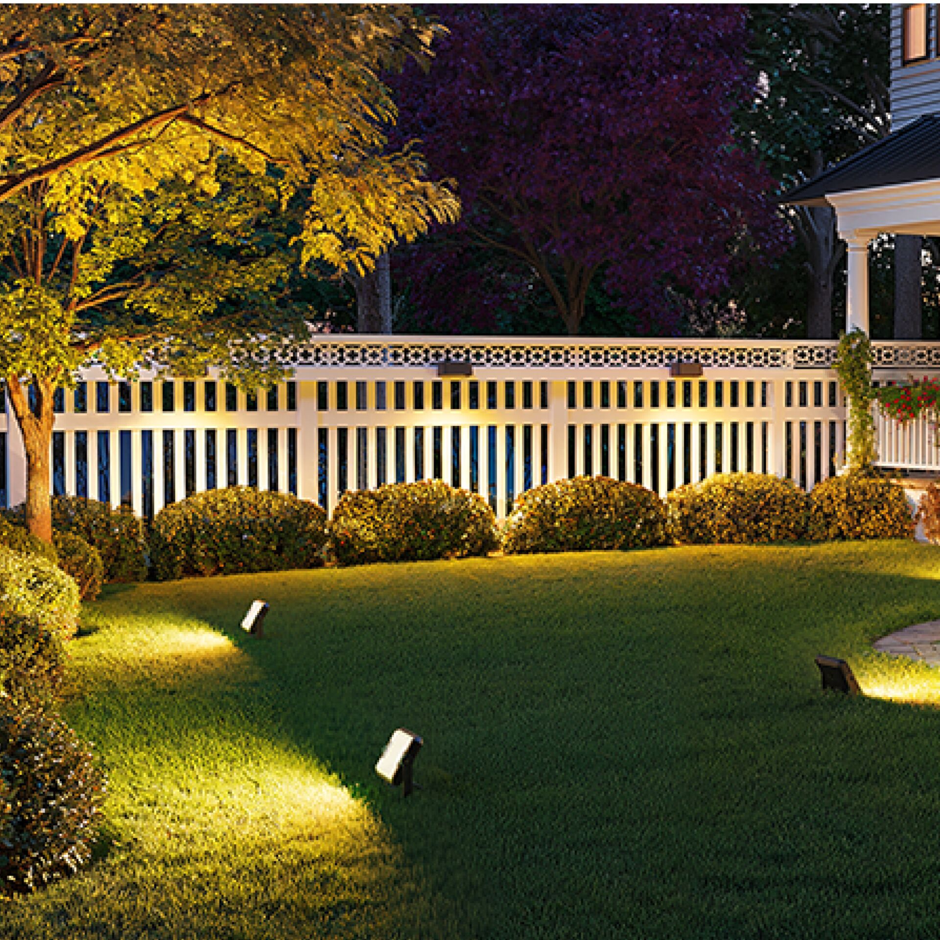 Natur, Draußen, Hof, Hinterhof, Gras