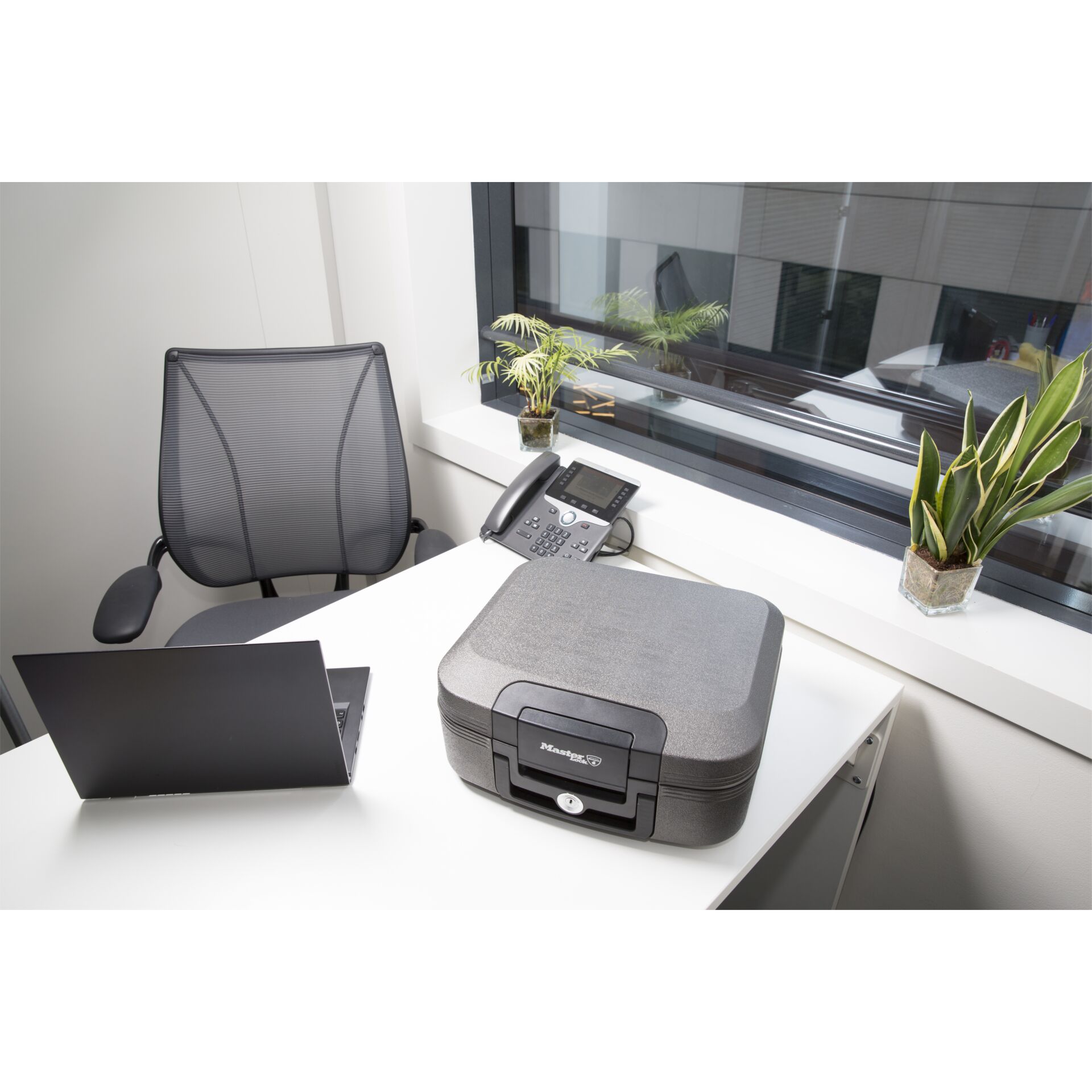 Computerausrüstung, Laptop, Pflanze, Kissen