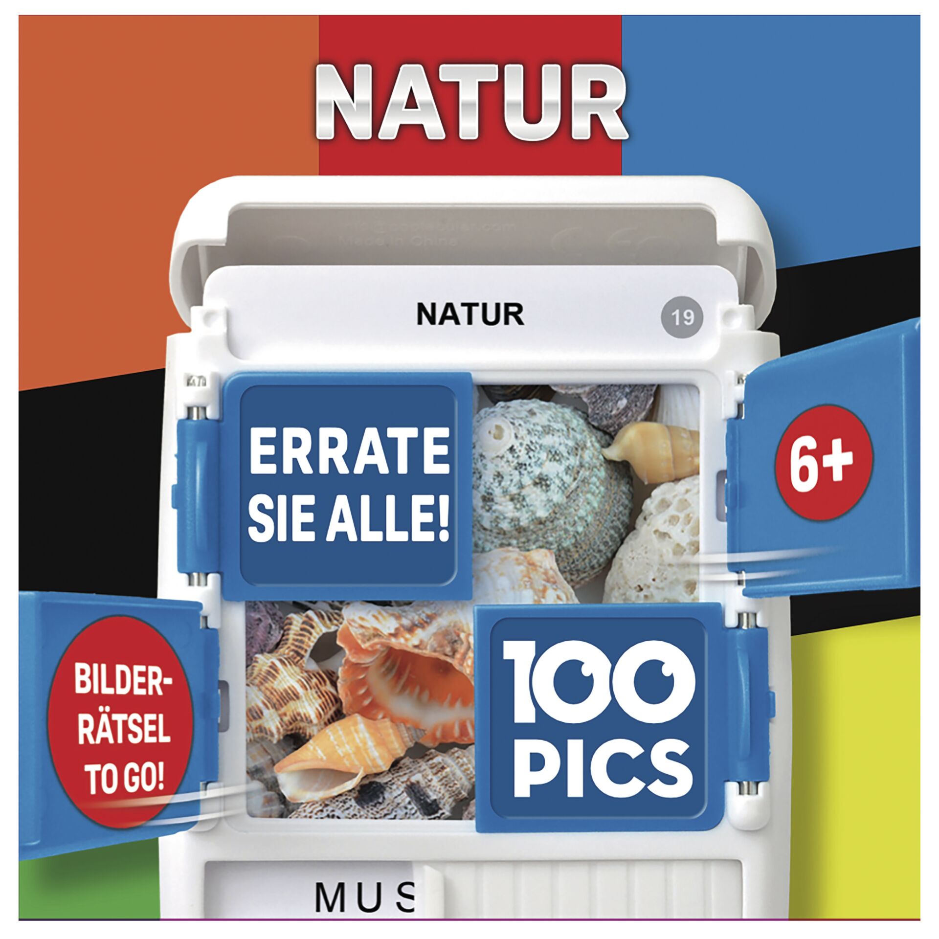 Tier, Wirbelloses Tier, Leben im Meer, Muschel