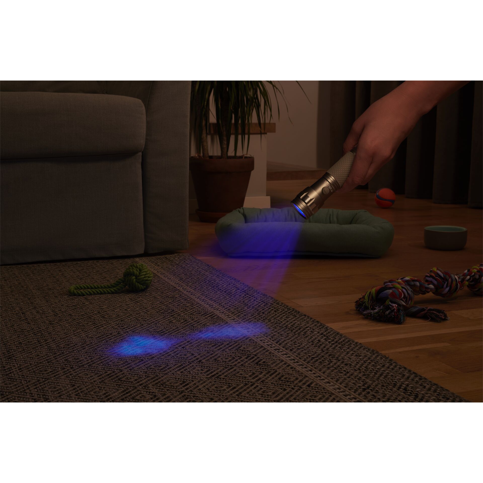 Innenarchitektur, Inneneinrichtung, Fußboden, Bodenbeläge, Couch