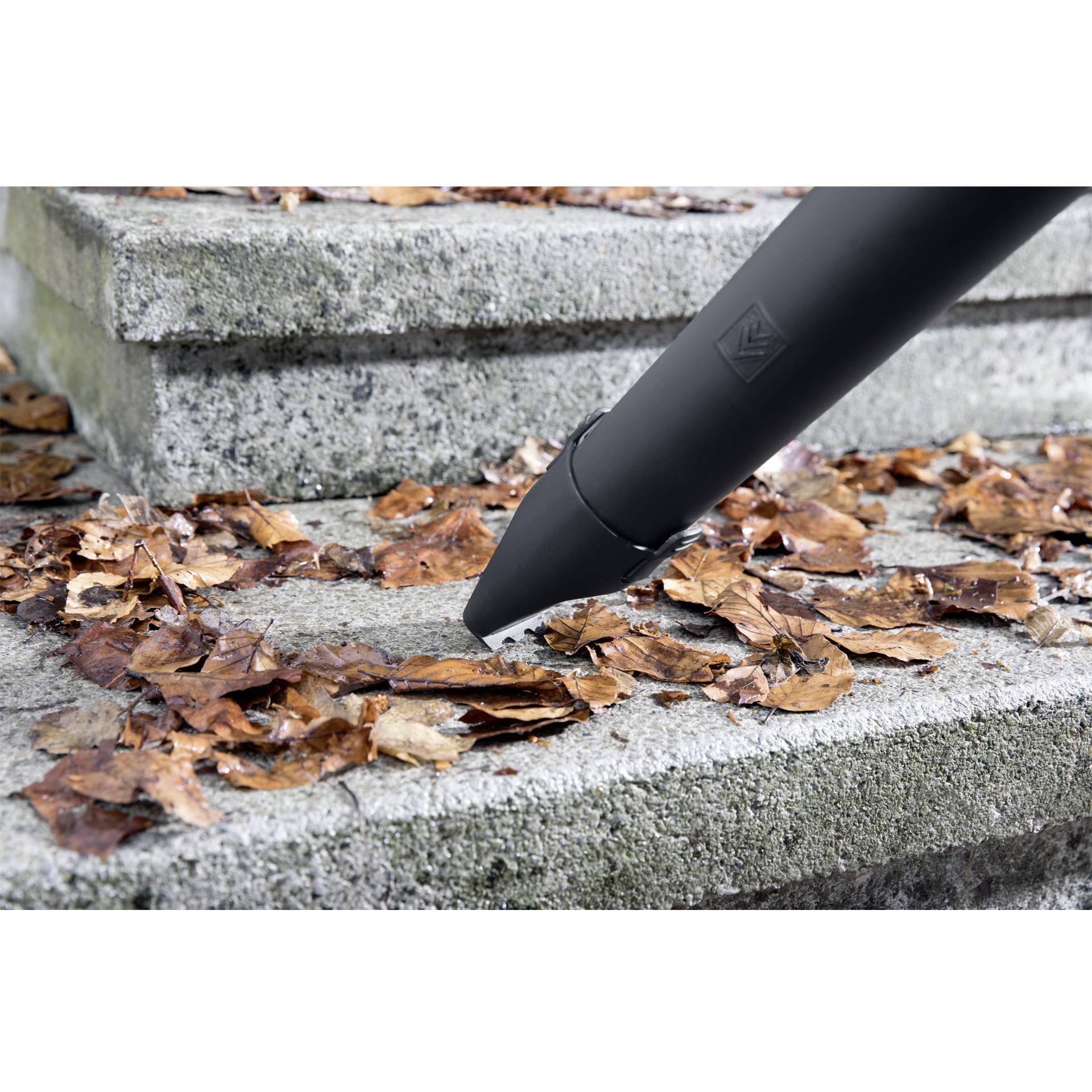 Blatt, Pflanze, Wohnen, Haus, Dach