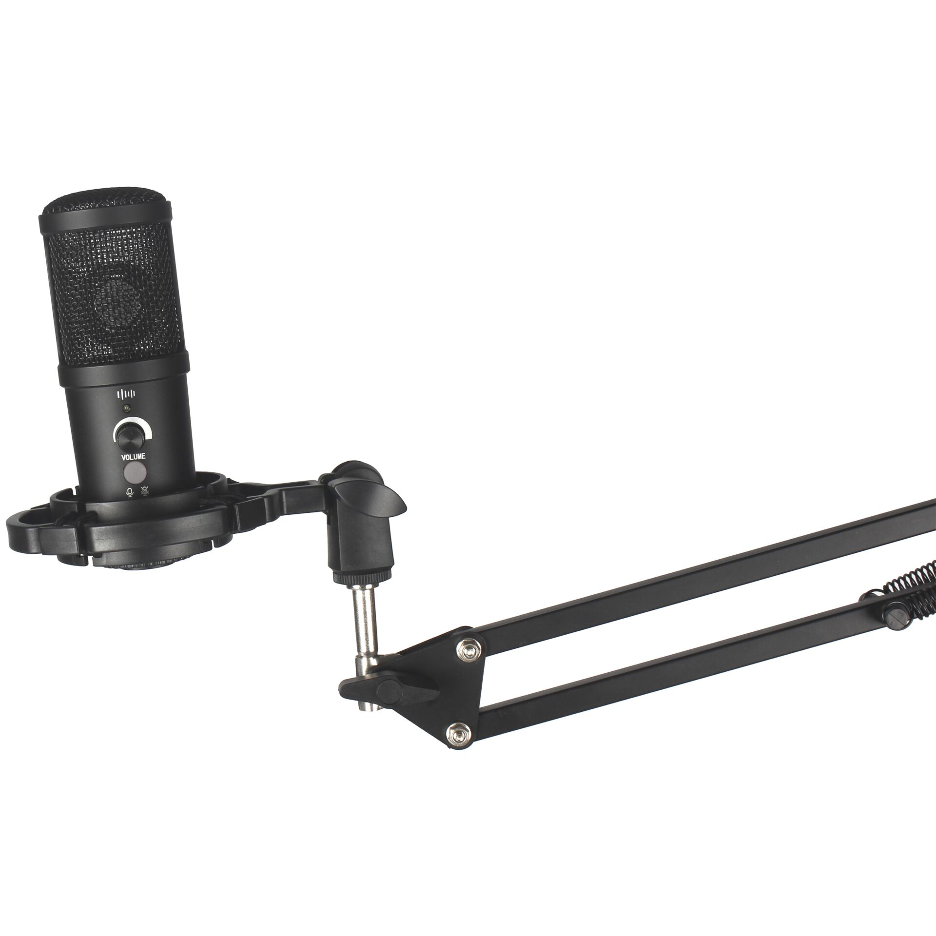 Elektrisches Gerät, Mikrophon