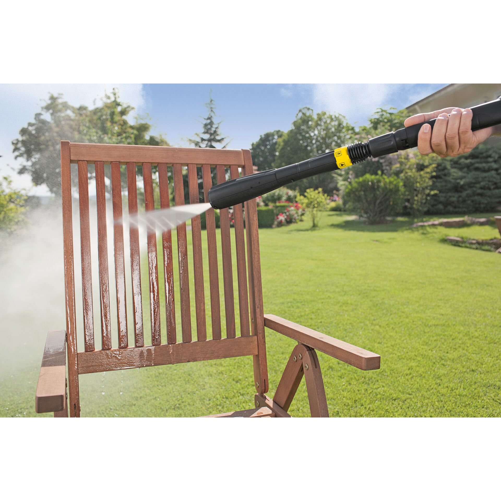 Gras, Pflanze, Drinnen, Innenarchitektur, Mobiliar, Gras, Pflanze, Drinnen, Innenarchitektur, Mobiliar