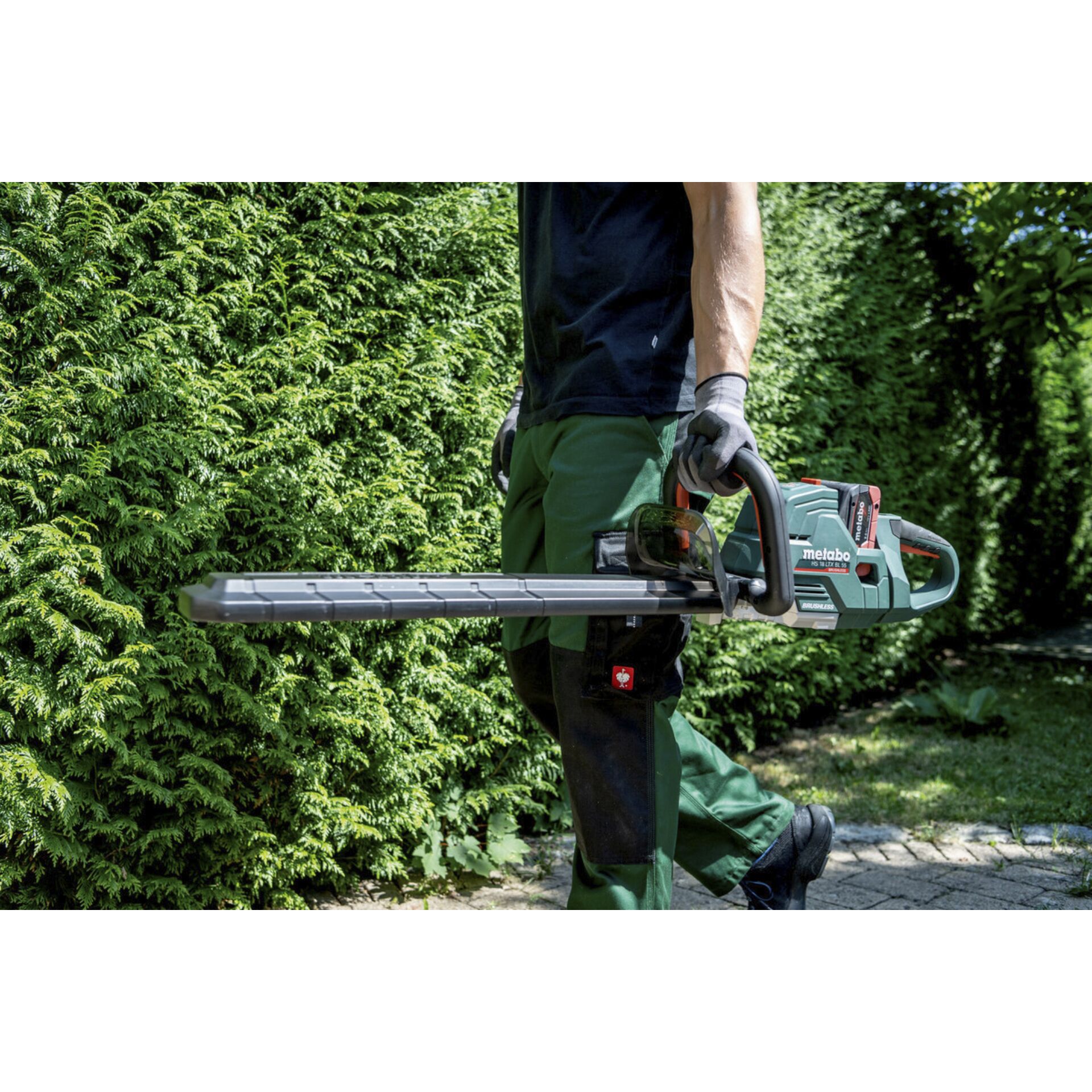 Handschuh, Gras, Erwachsener, Mann, Person