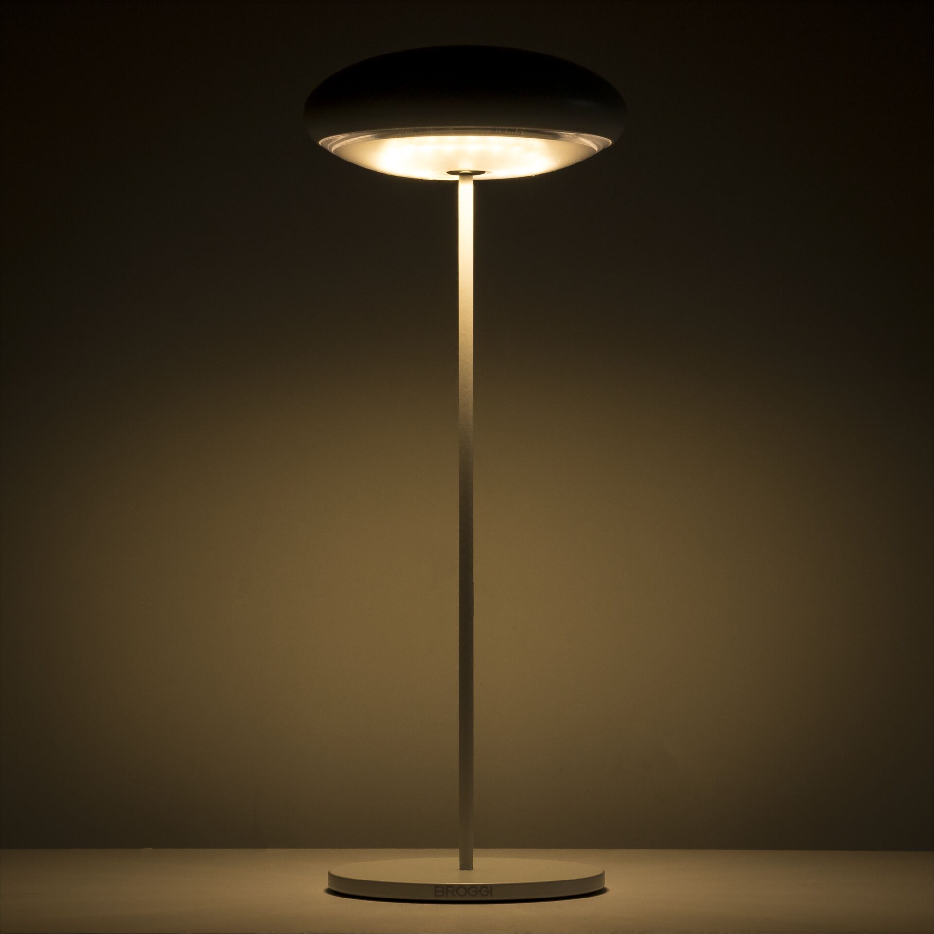 Lampe, Lampenschirm