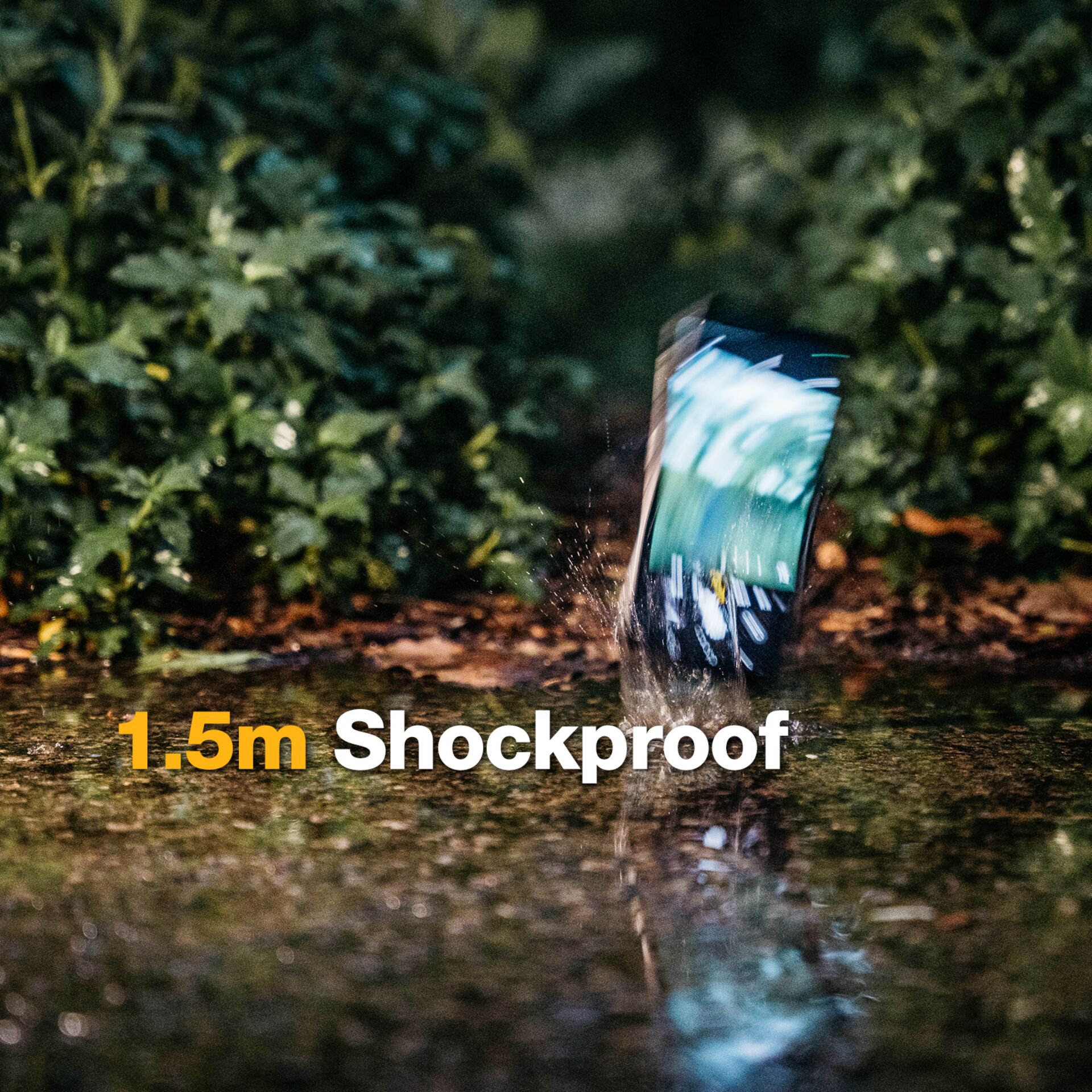 Boden, Pflanze, Vegetation, Wasser