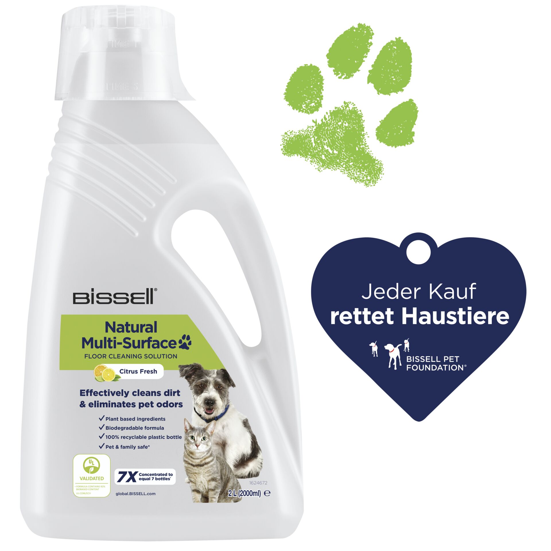 Flasche, Hund, Säugetier, Haustier, Katze