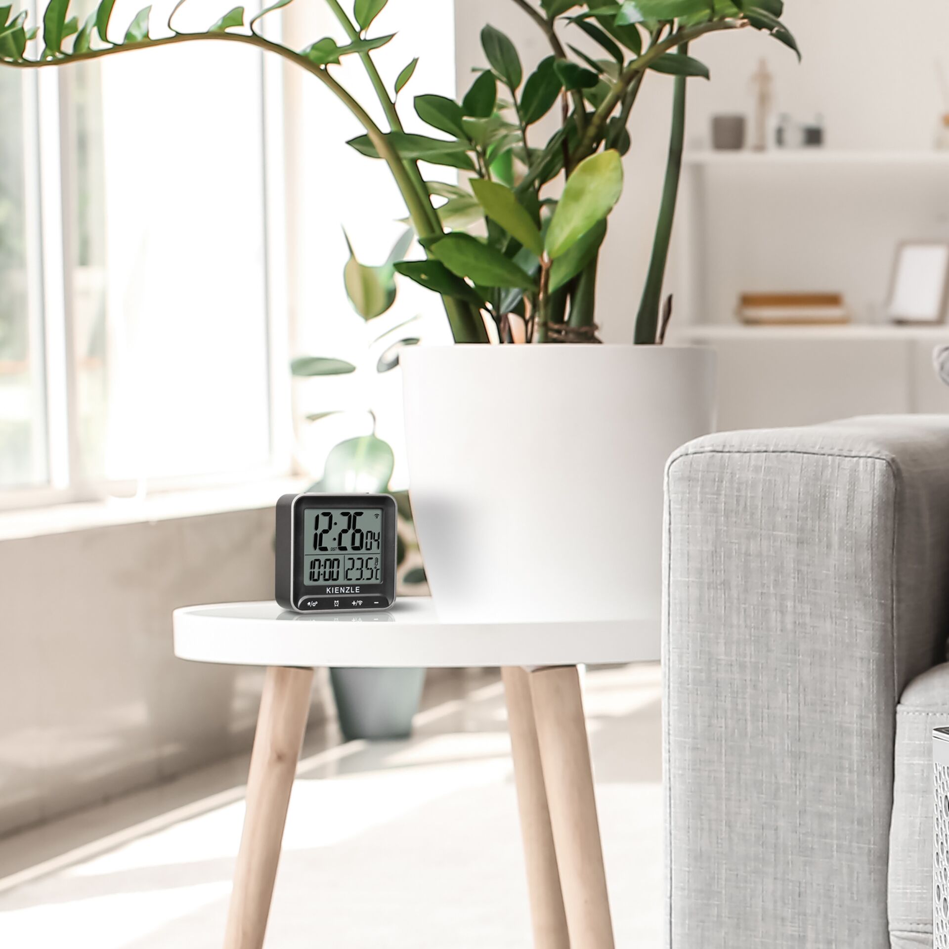 Pflanze, Pflanze im Topf, Hardware, Überwachen, Bildschirm