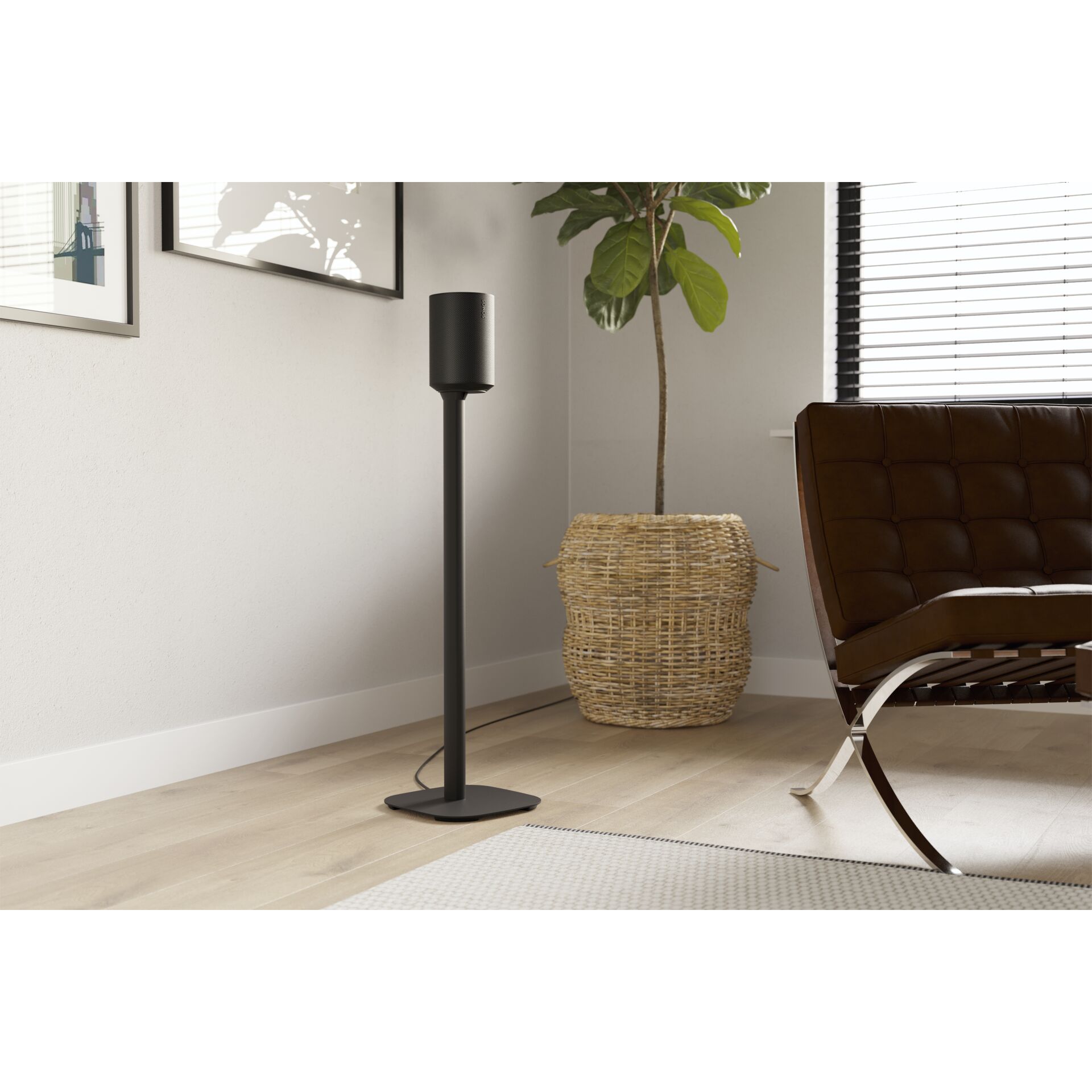 Lampe, Pflanze, Stehlampe, Mobiliar