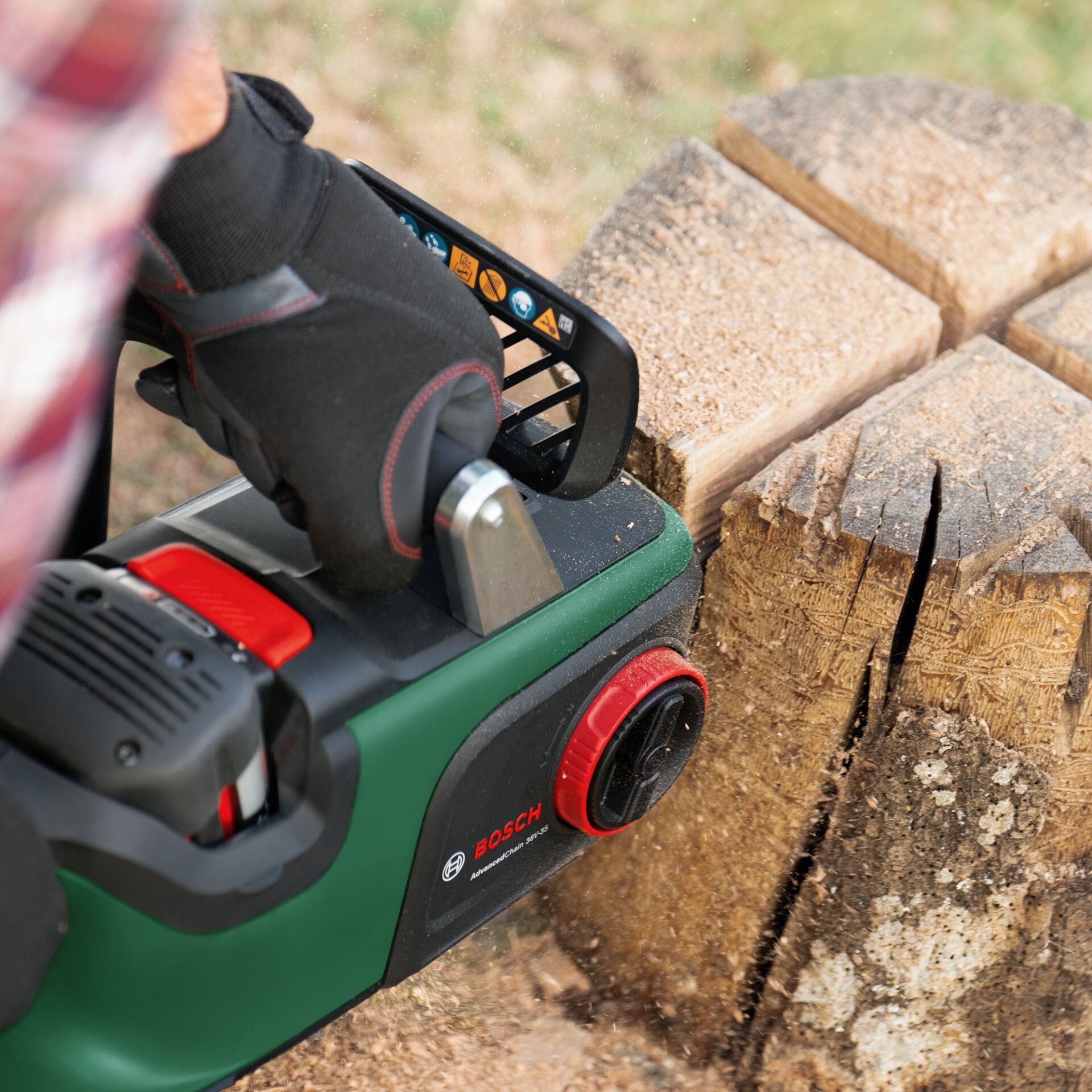 Pflanze, Baum, Kleidung, Handschuh, Gerät