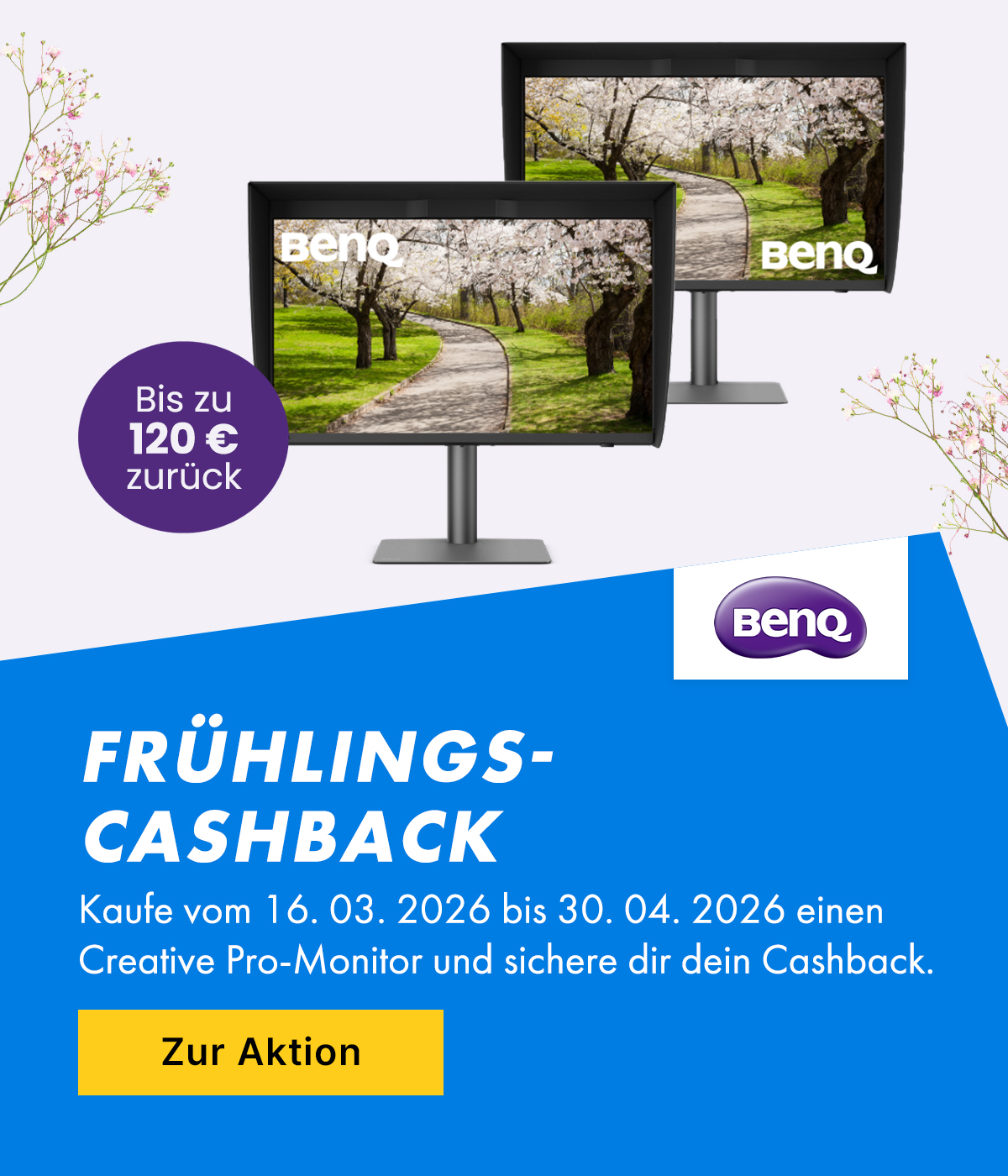 monitor, computer monitor, dual monitor, frühjahr, cashback