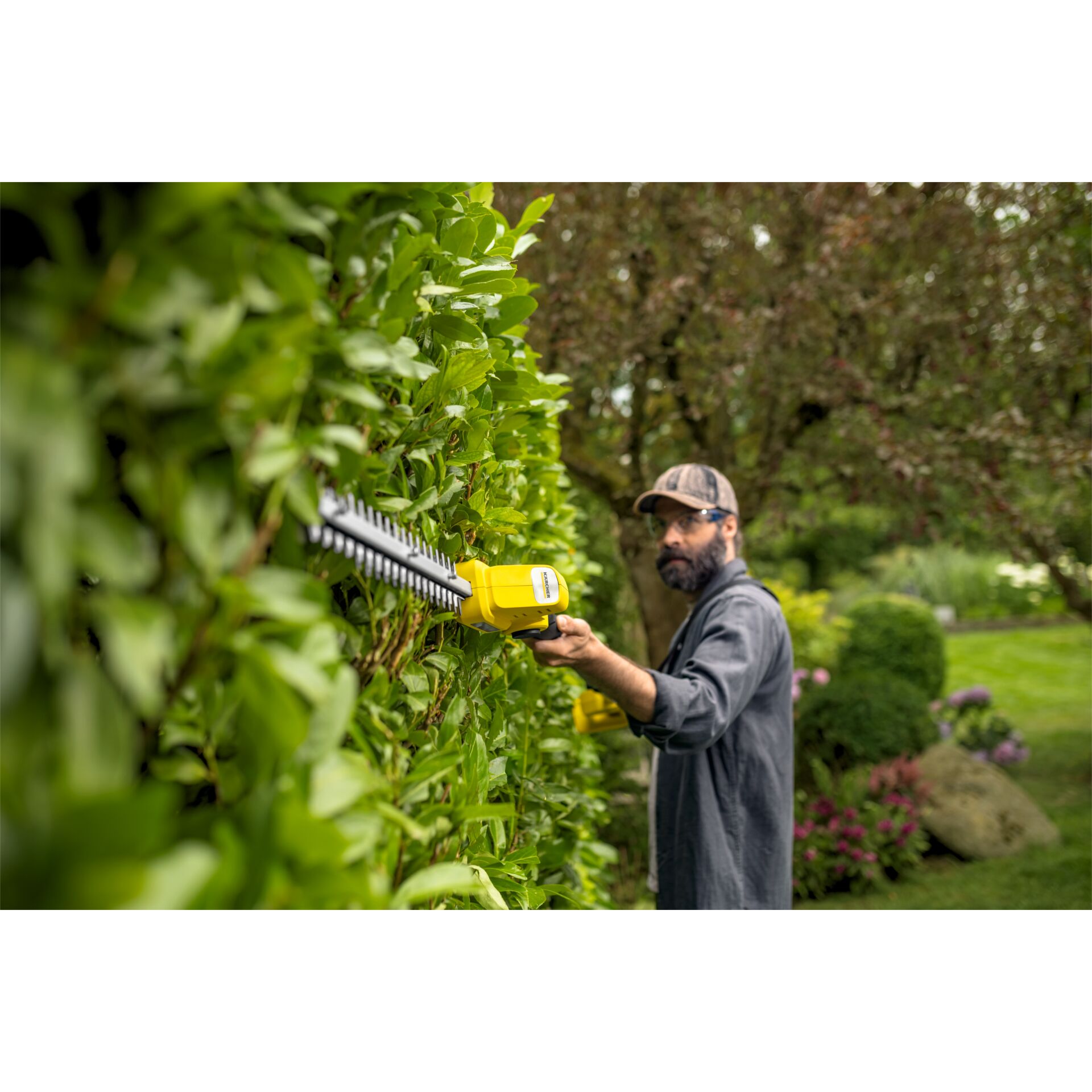 Garten, Natur, Draußen, Innenarchitektur, Gartenarbeit