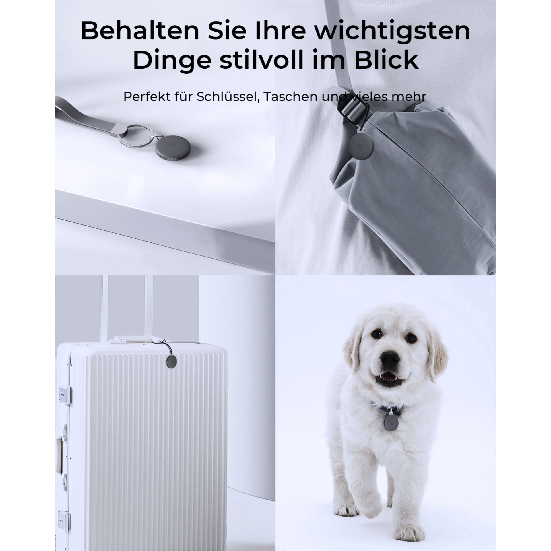Hund, Besteck, Löffel, Tasche, Handtasche
