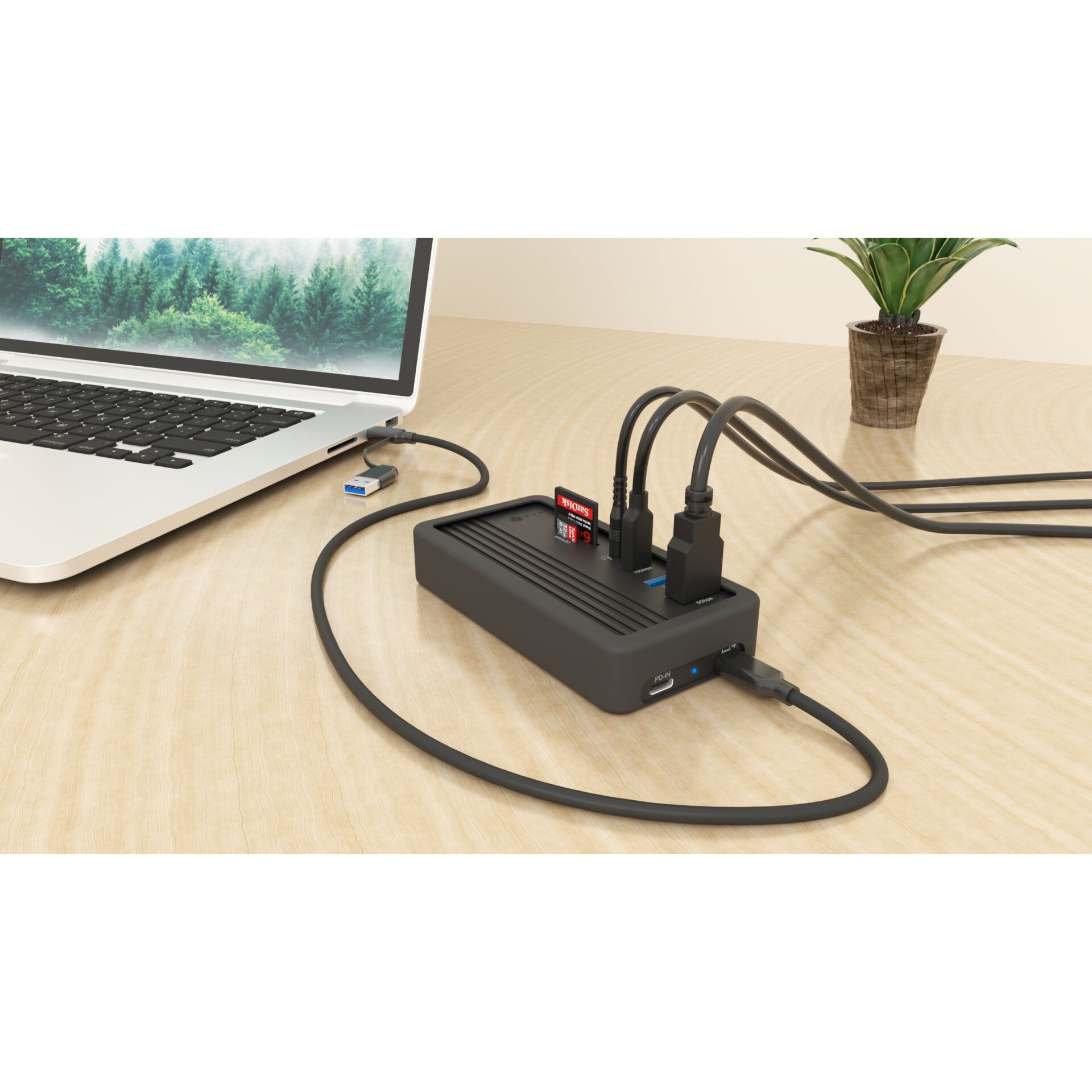 Adapter, Elektronik, Laptop, PC, Pflanze