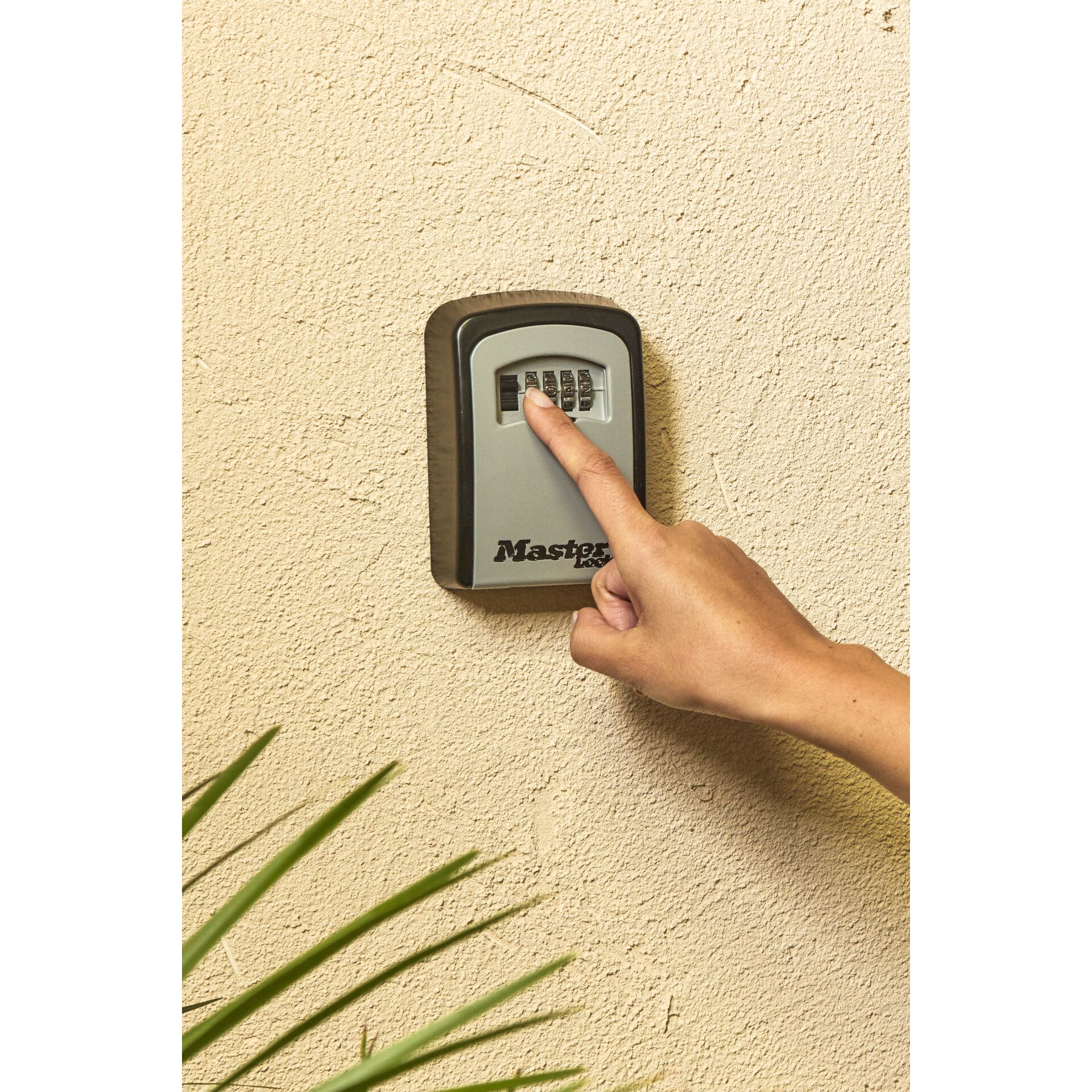 Drinnen, Innenarchitektur, Pflanze